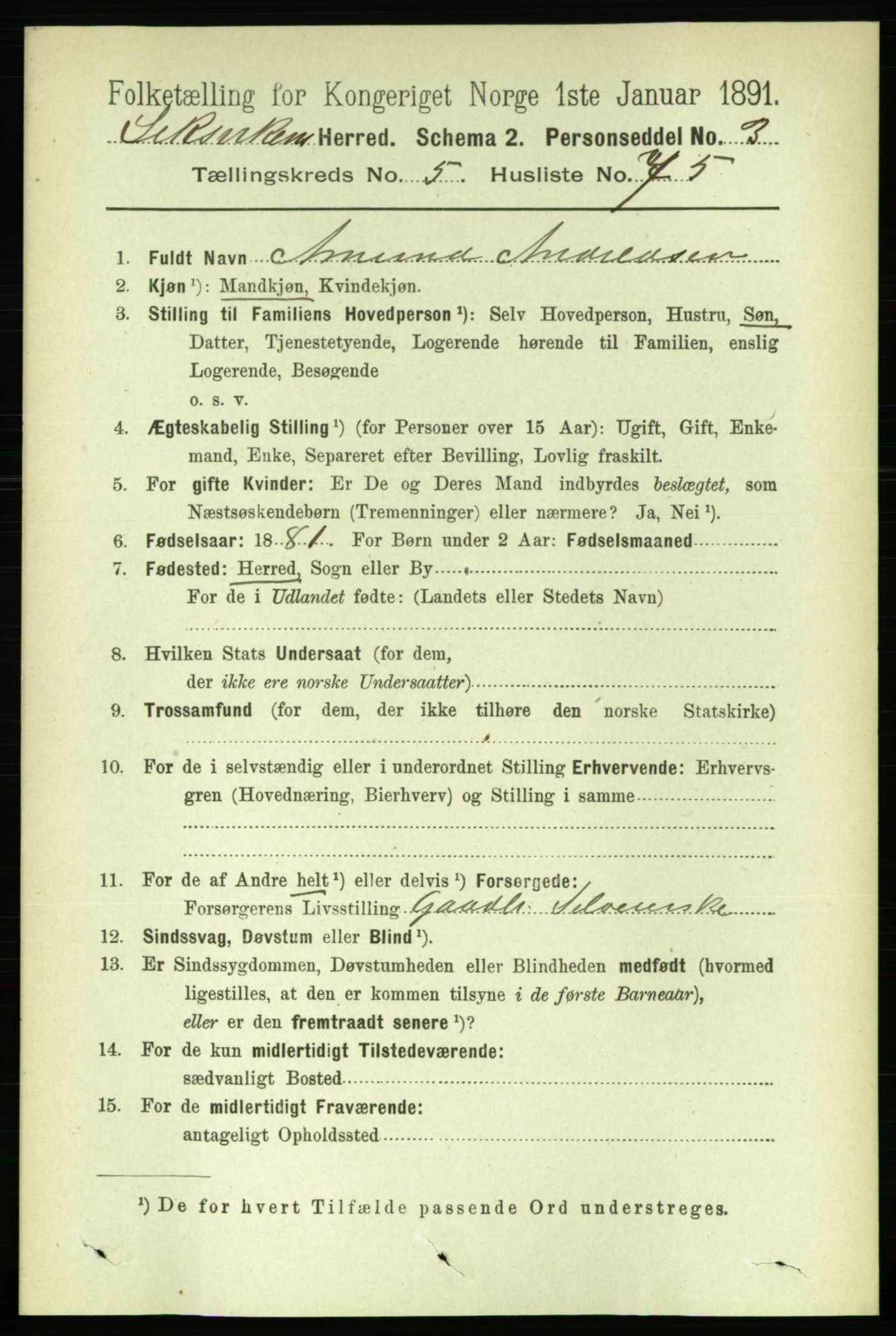 RA, 1891 census for 1718 Leksvik, 1891, p. 3096