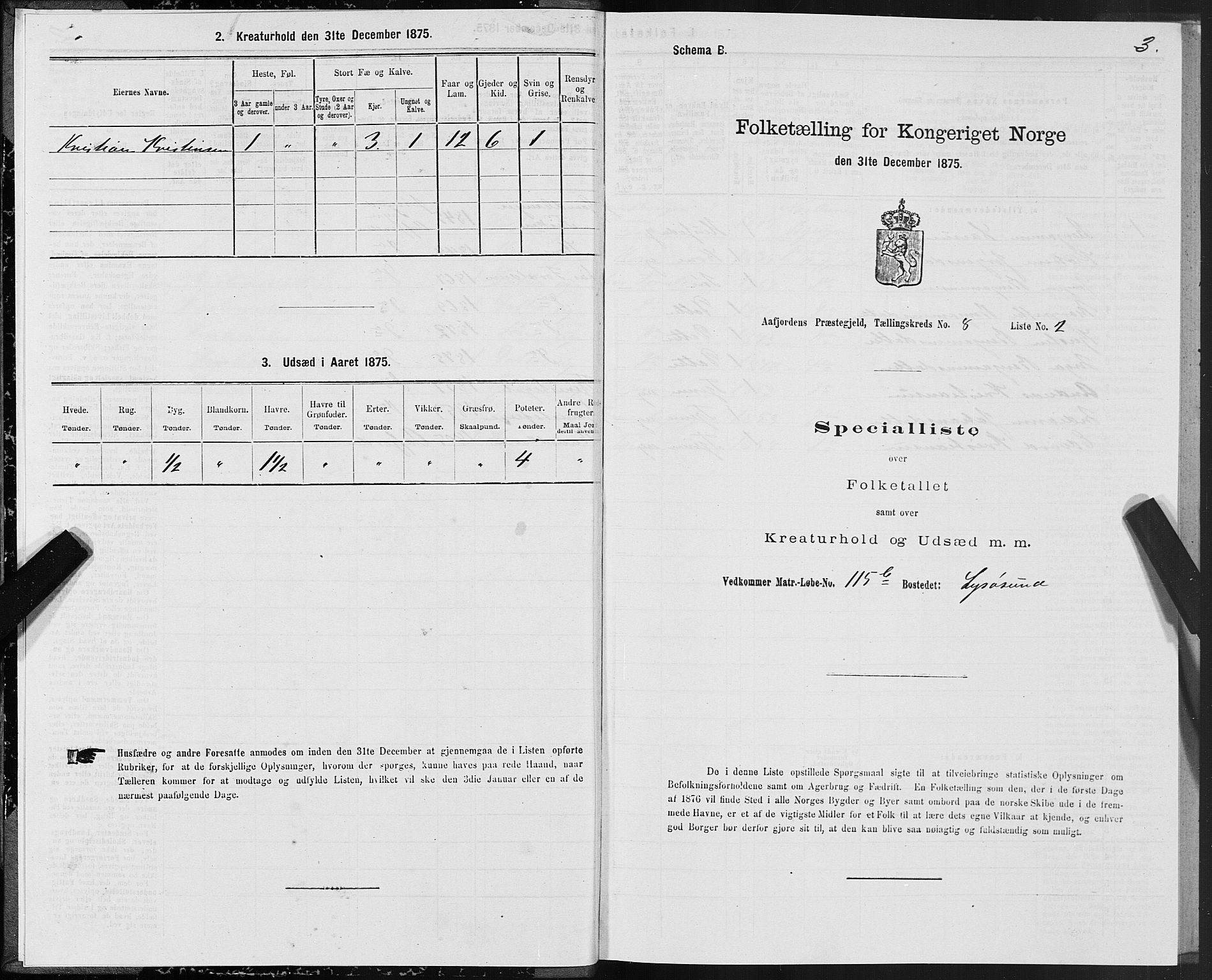 SAT, 1875 census for 1630P Aafjorden, 1875, p. 4003