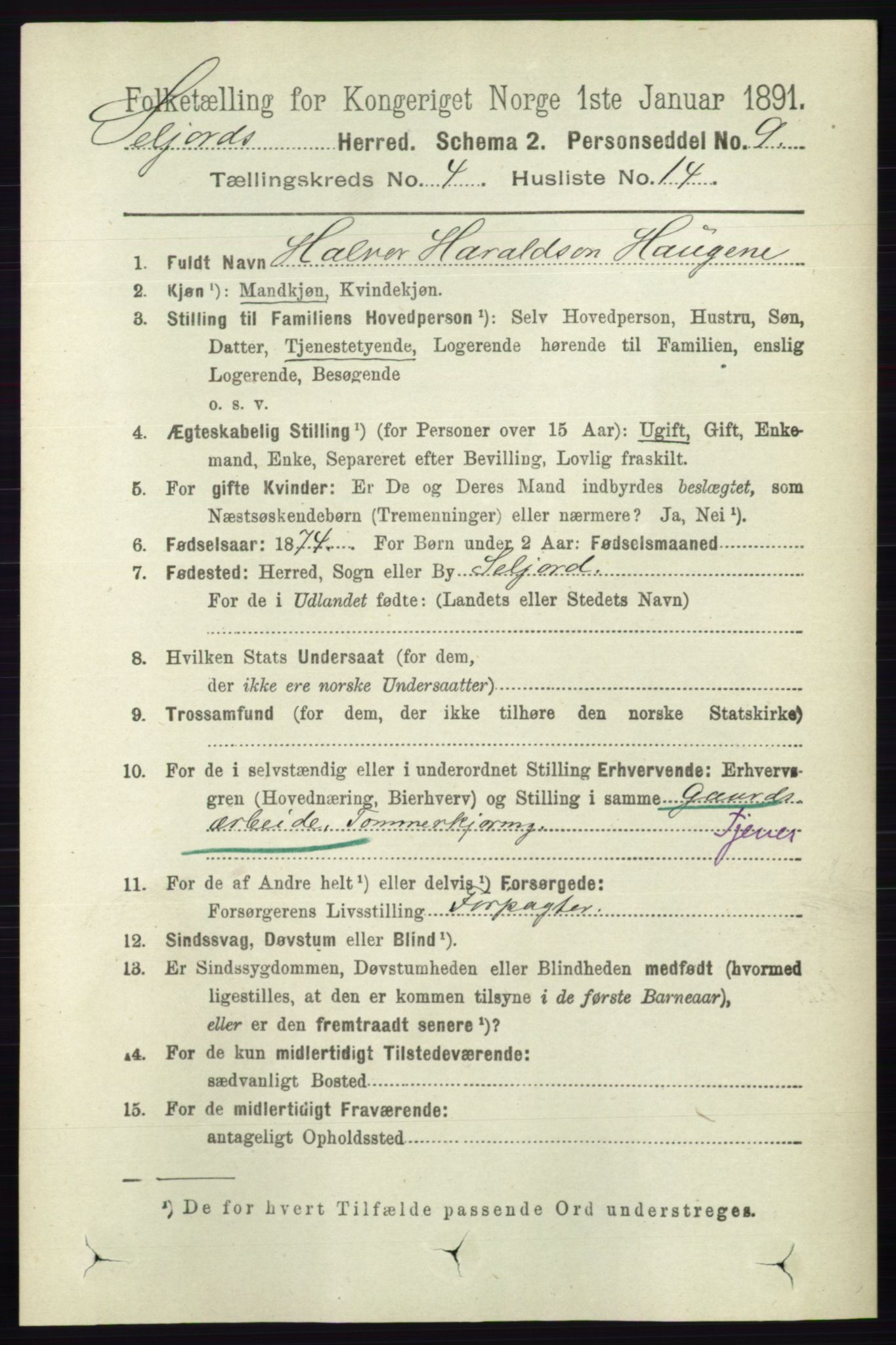 RA, 1891 census for 0828 Seljord, 1891, p. 1367