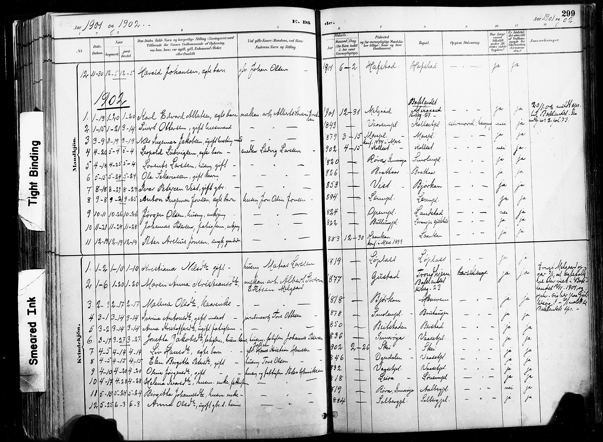 Ministerialprotokoller, klokkerbøker og fødselsregistre - Nord-Trøndelag, SAT/A-1458/735/L0351: Parish register (official) no. 735A10, 1884-1908, p. 299