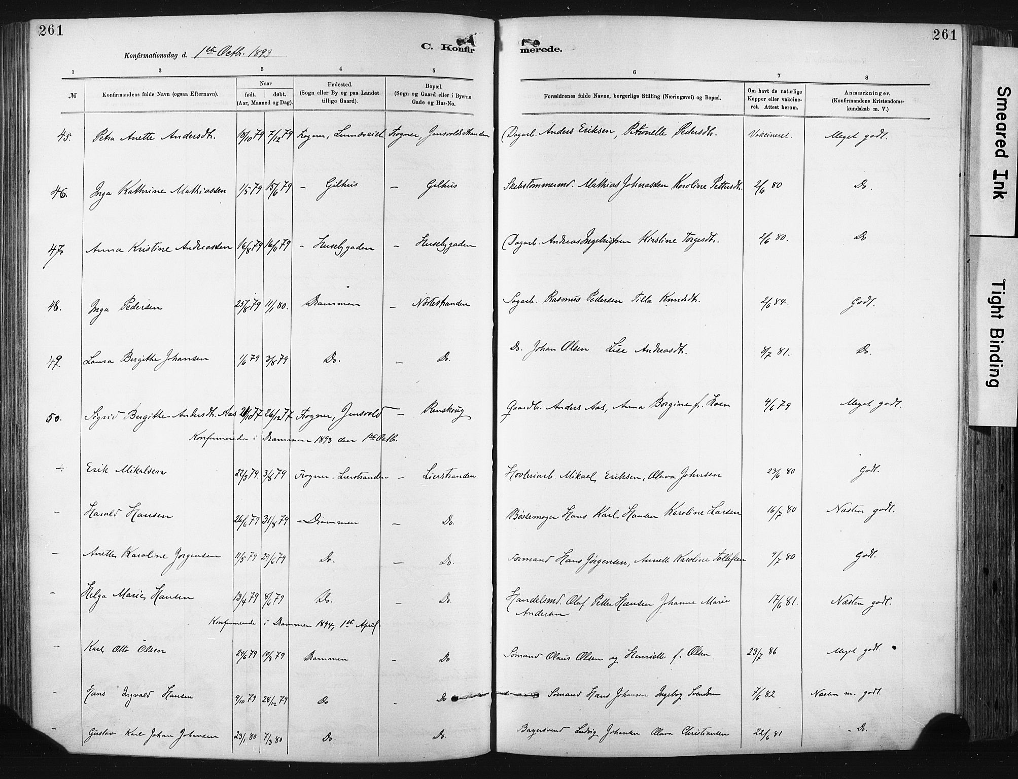Lier kirkebøker, SAKO/A-230/F/Fa/L0015: Parish register (official) no. I 15, 1883-1894, p. 261