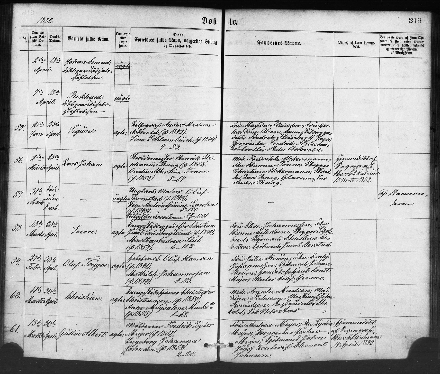 Nykirken Sokneprestembete, SAB/A-77101/H/Haa/L0016: Parish register (official) no. B 3, 1870-1884, p. 219