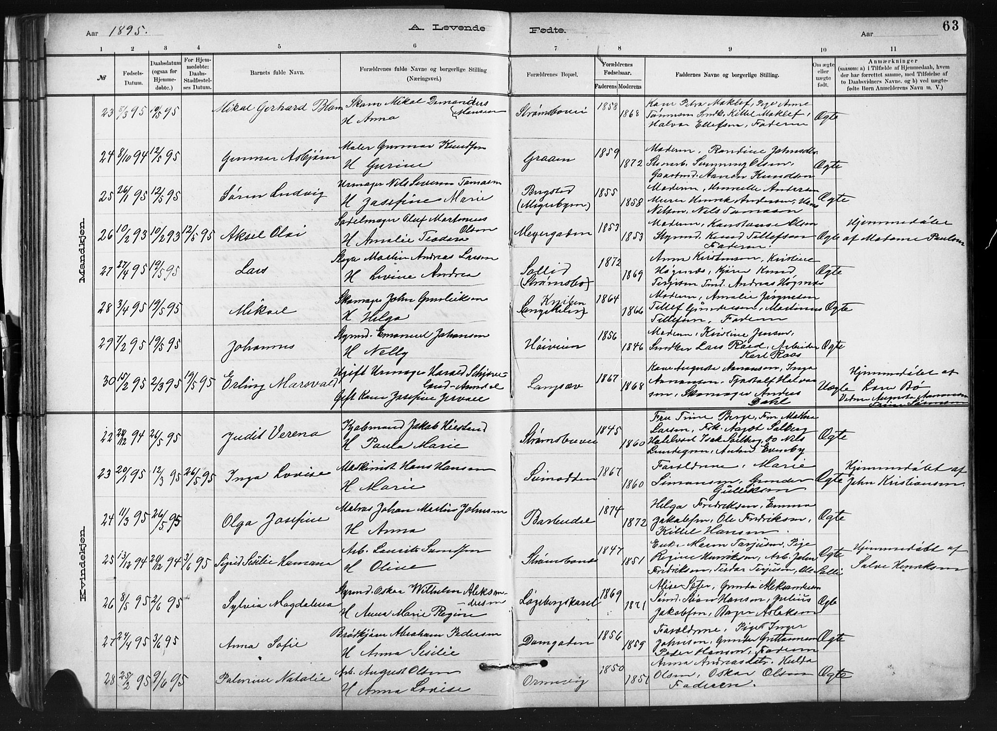 Barbu sokneprestkontor, SAK/1111-0003/F/Fb/L0002: Parish register (copy) no. B 2, 1890-1922, p. 63