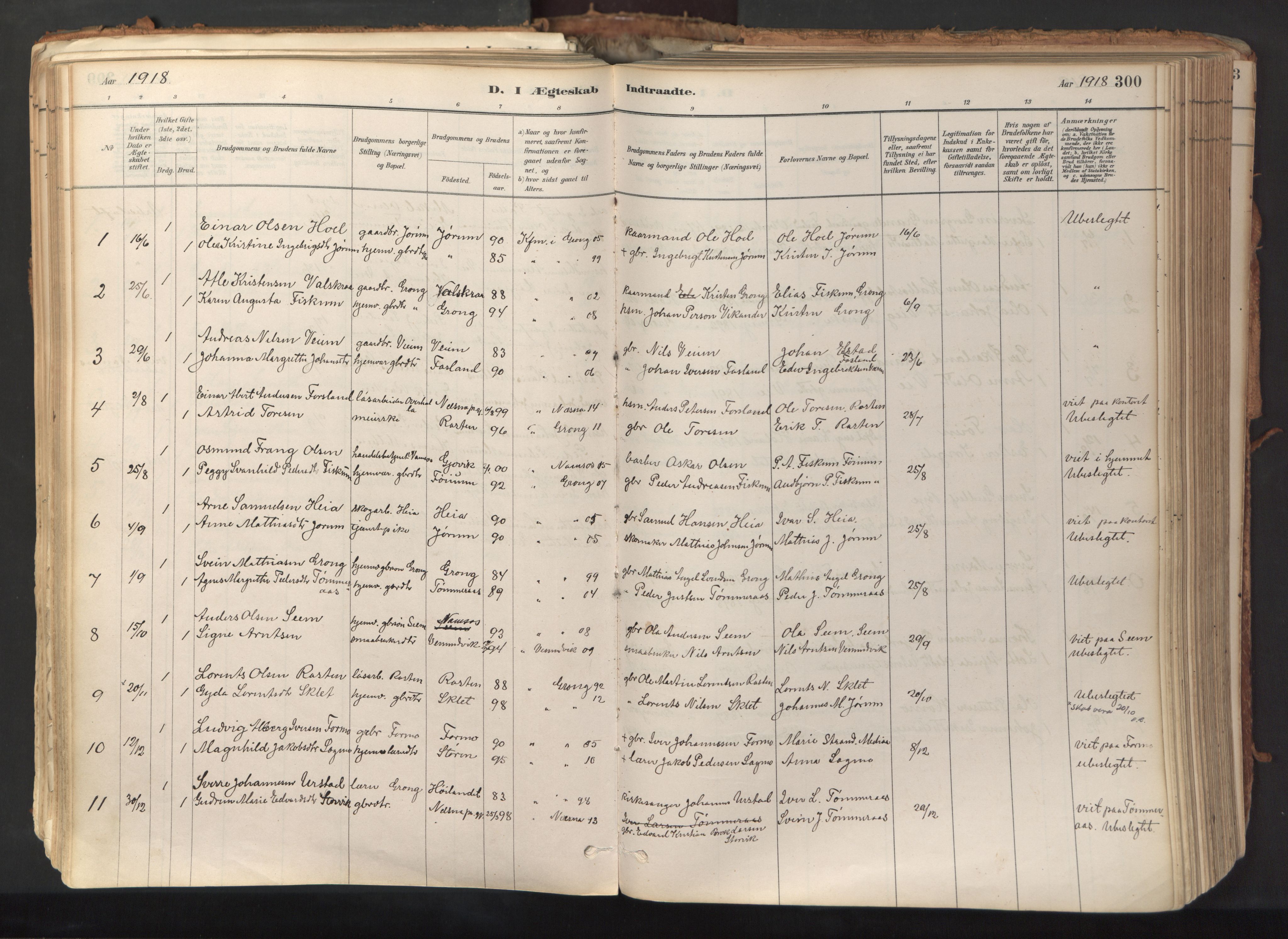 Ministerialprotokoller, klokkerbøker og fødselsregistre - Nord-Trøndelag, SAT/A-1458/758/L0519: Parish register (official) no. 758A04, 1880-1926, p. 300