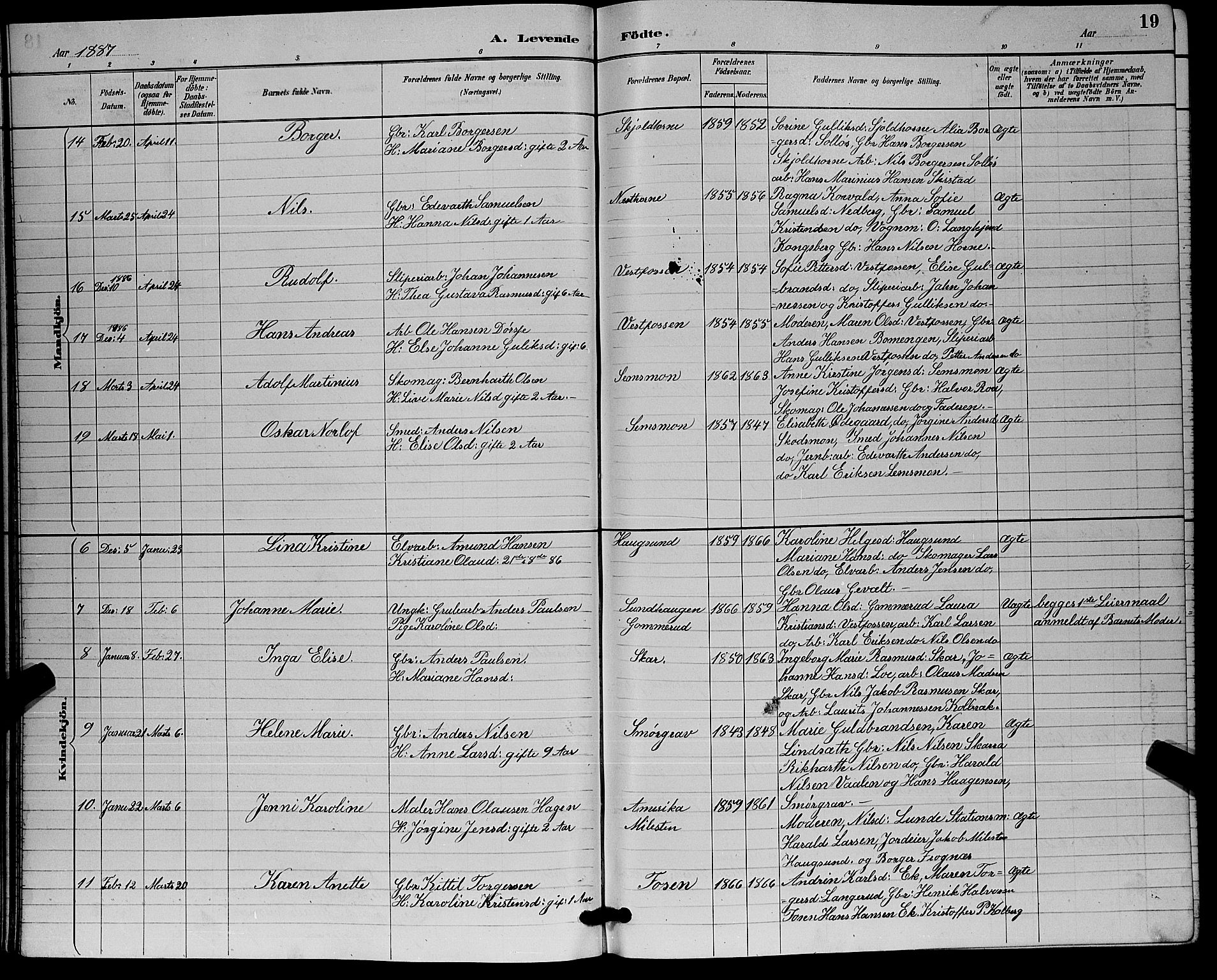 Eiker kirkebøker, AV/SAKO-A-4/G/Ga/L0006: Parish register (copy) no. I 6, 1885-1893, p. 19