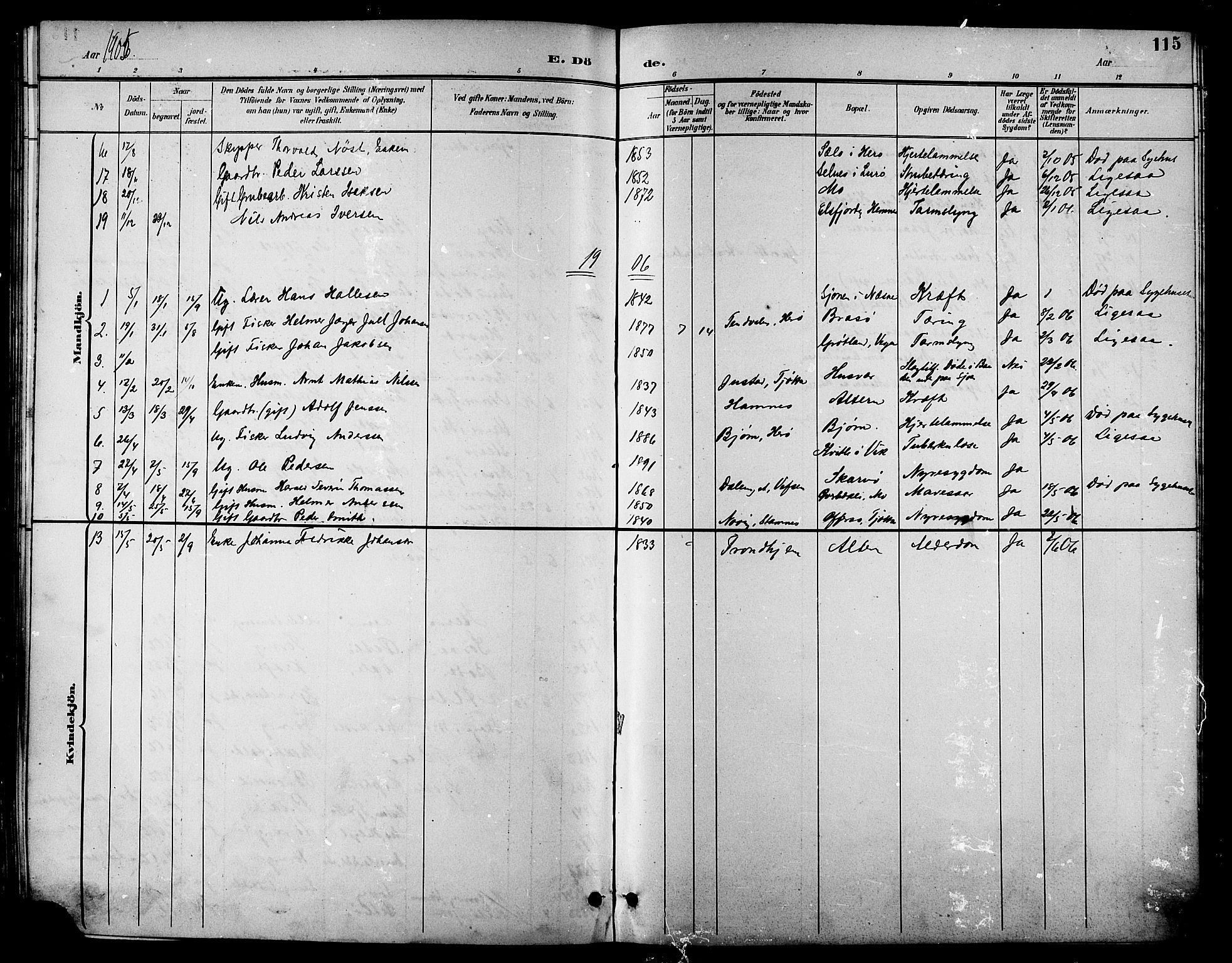 Ministerialprotokoller, klokkerbøker og fødselsregistre - Nordland, AV/SAT-A-1459/830/L0463: Parish register (copy) no. 830C05, 1895-1906, p. 115