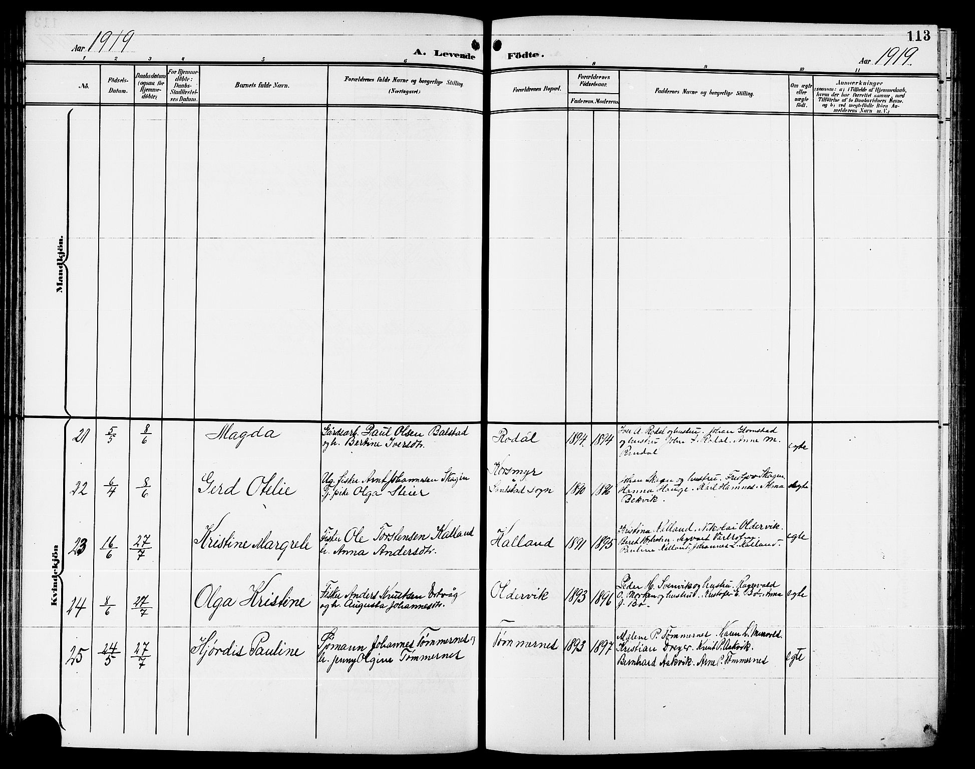 Ministerialprotokoller, klokkerbøker og fødselsregistre - Møre og Romsdal, AV/SAT-A-1454/578/L0910: Parish register (copy) no. 578C03, 1900-1921, p. 113