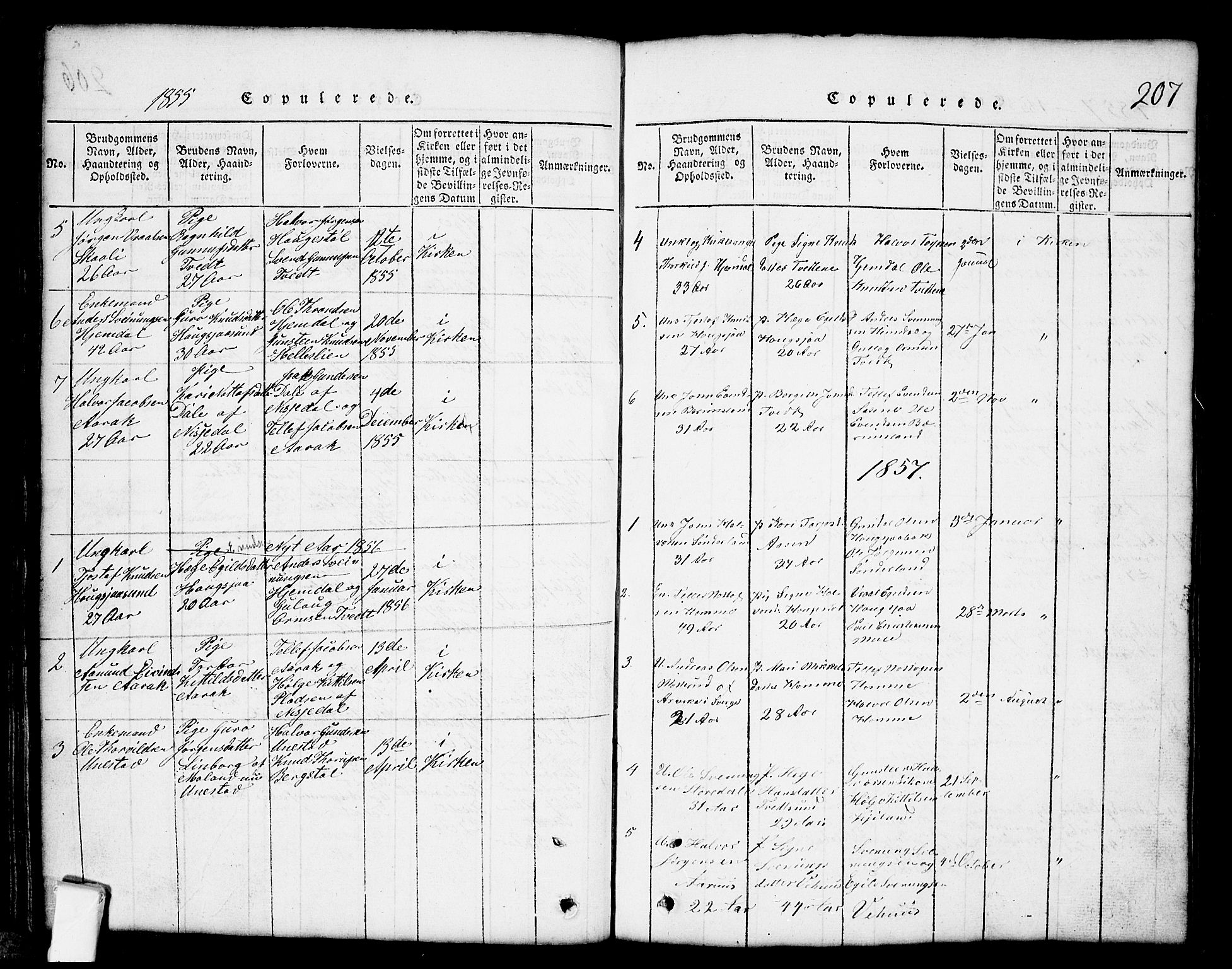 Nissedal kirkebøker, SAKO/A-288/G/Gb/L0001: Parish register (copy) no. II 1, 1814-1862, p. 207
