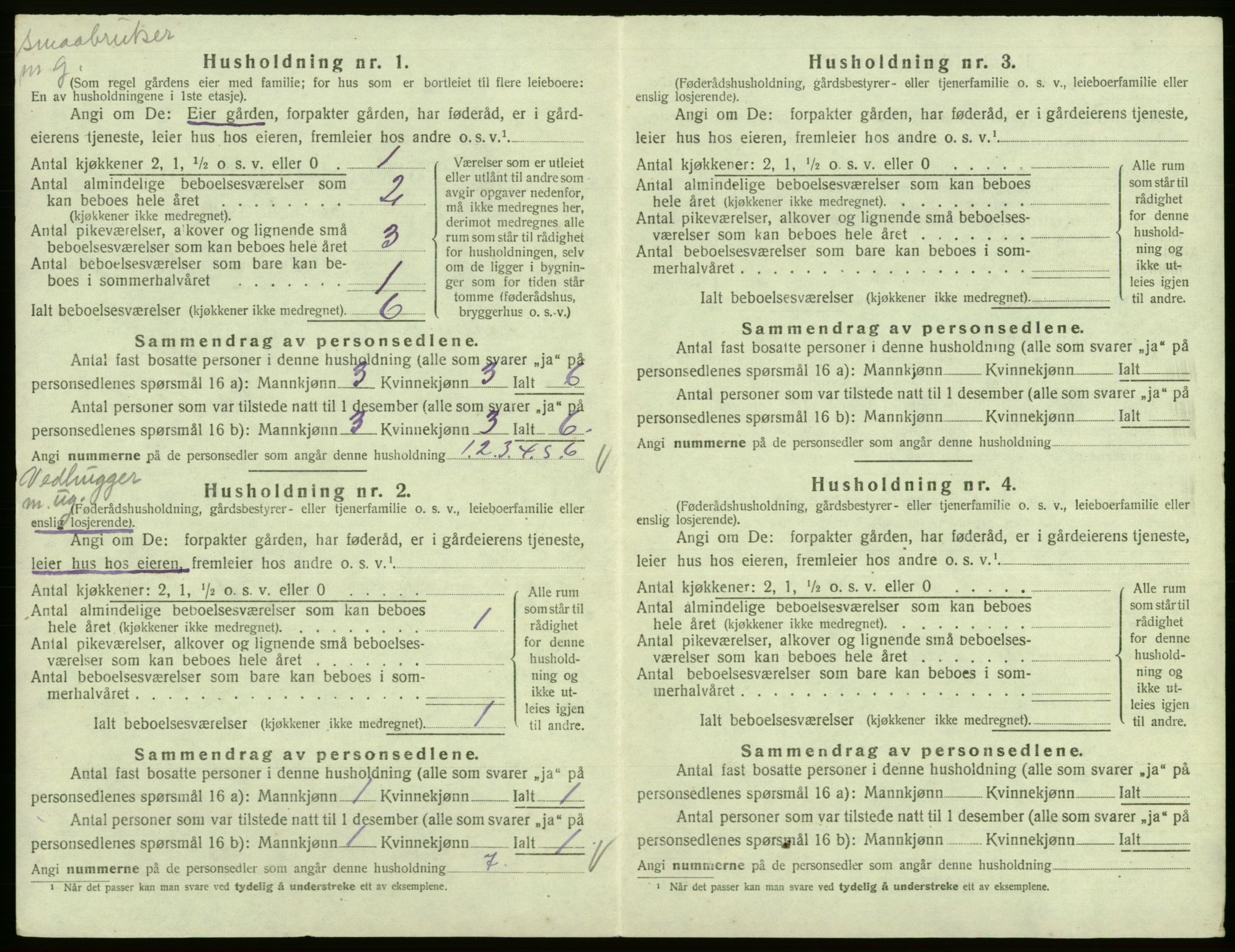 SAB, 1920 census for Kinsarvik, 1920, p. 447