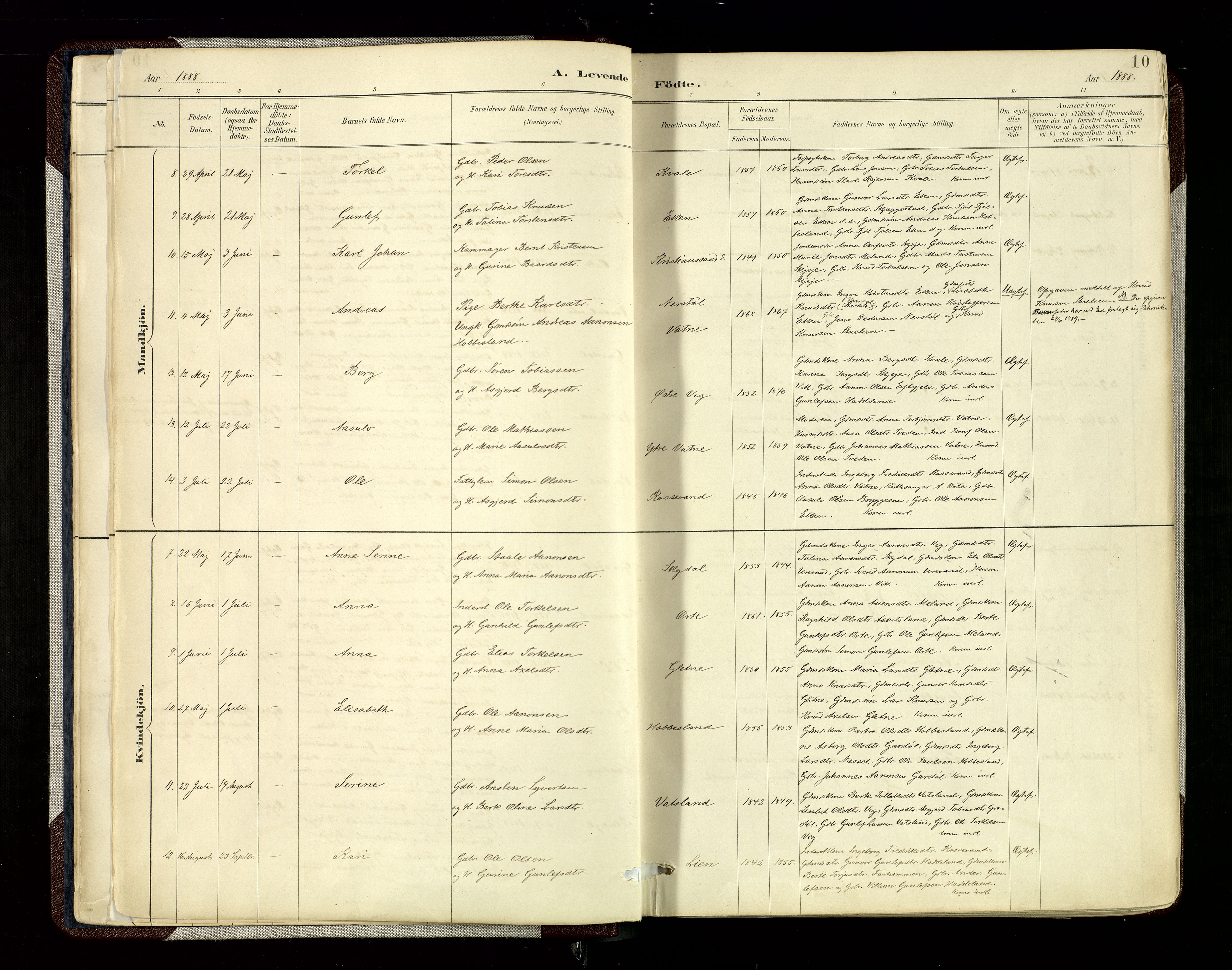 Hægebostad sokneprestkontor, SAK/1111-0024/F/Fa/Fab/L0004: Parish register (official) no. A 4, 1887-1929, p. 10