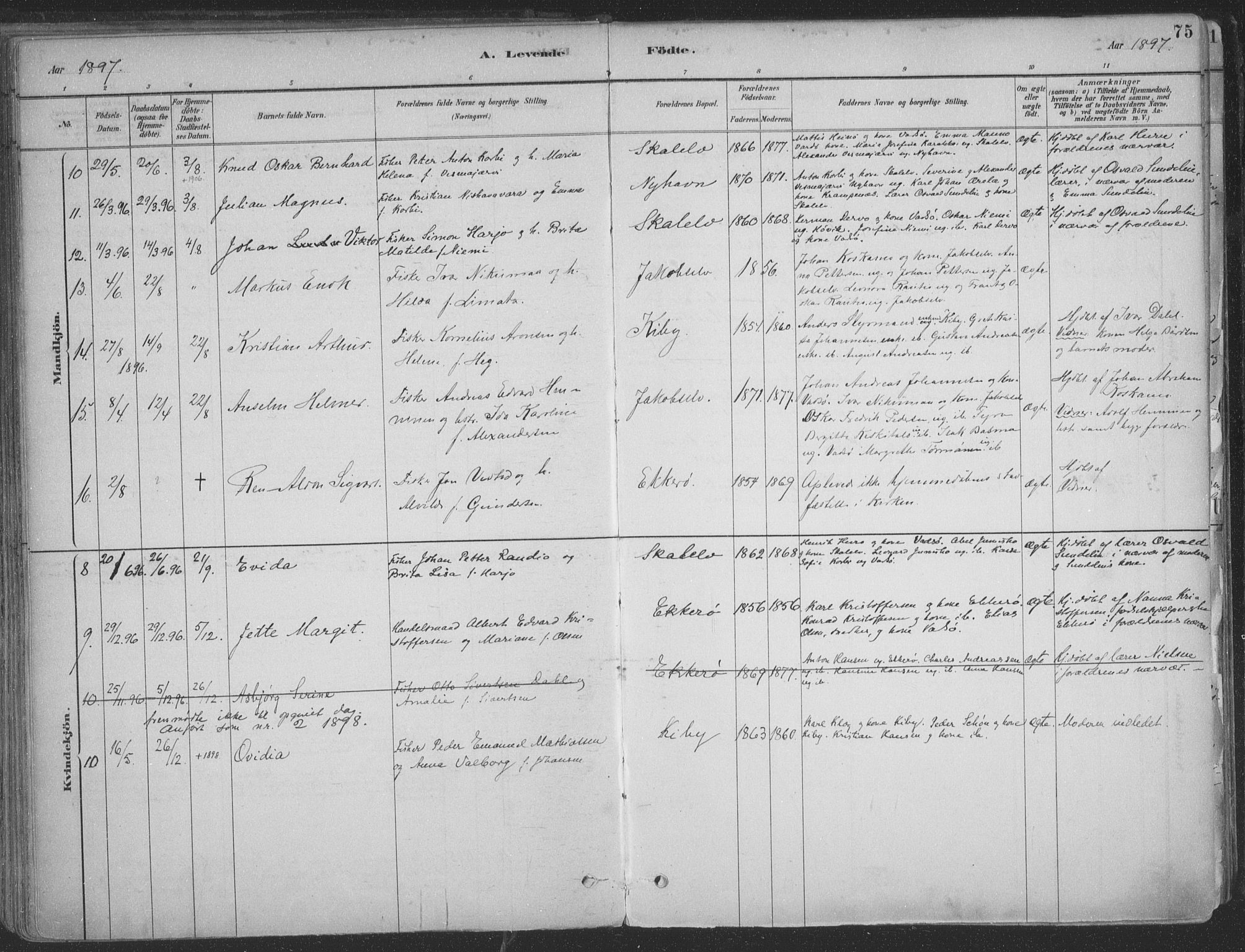 Vadsø sokneprestkontor, SATØ/S-1325/H/Ha/L0009kirke: Parish register (official) no. 9, 1881-1917, p. 75