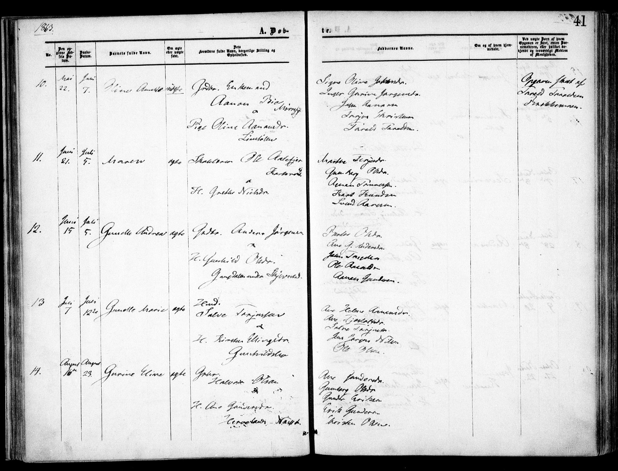 Austre Moland sokneprestkontor, AV/SAK-1111-0001/F/Fa/Faa/L0008: Parish register (official) no. A 8, 1858-1868, p. 41