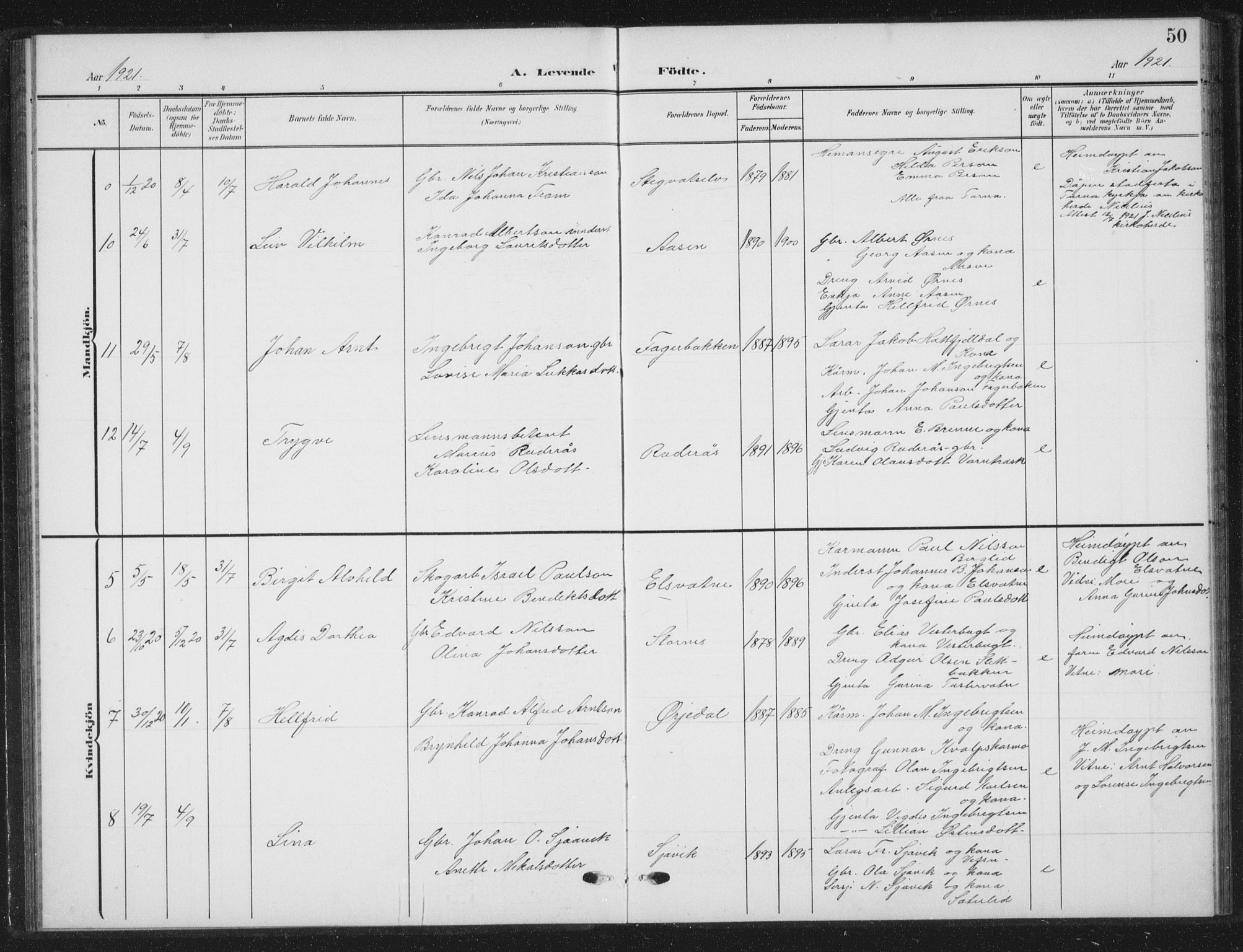 Ministerialprotokoller, klokkerbøker og fødselsregistre - Nordland, AV/SAT-A-1459/823/L0331: Parish register (copy) no. 823C03, 1905-1934, p. 50