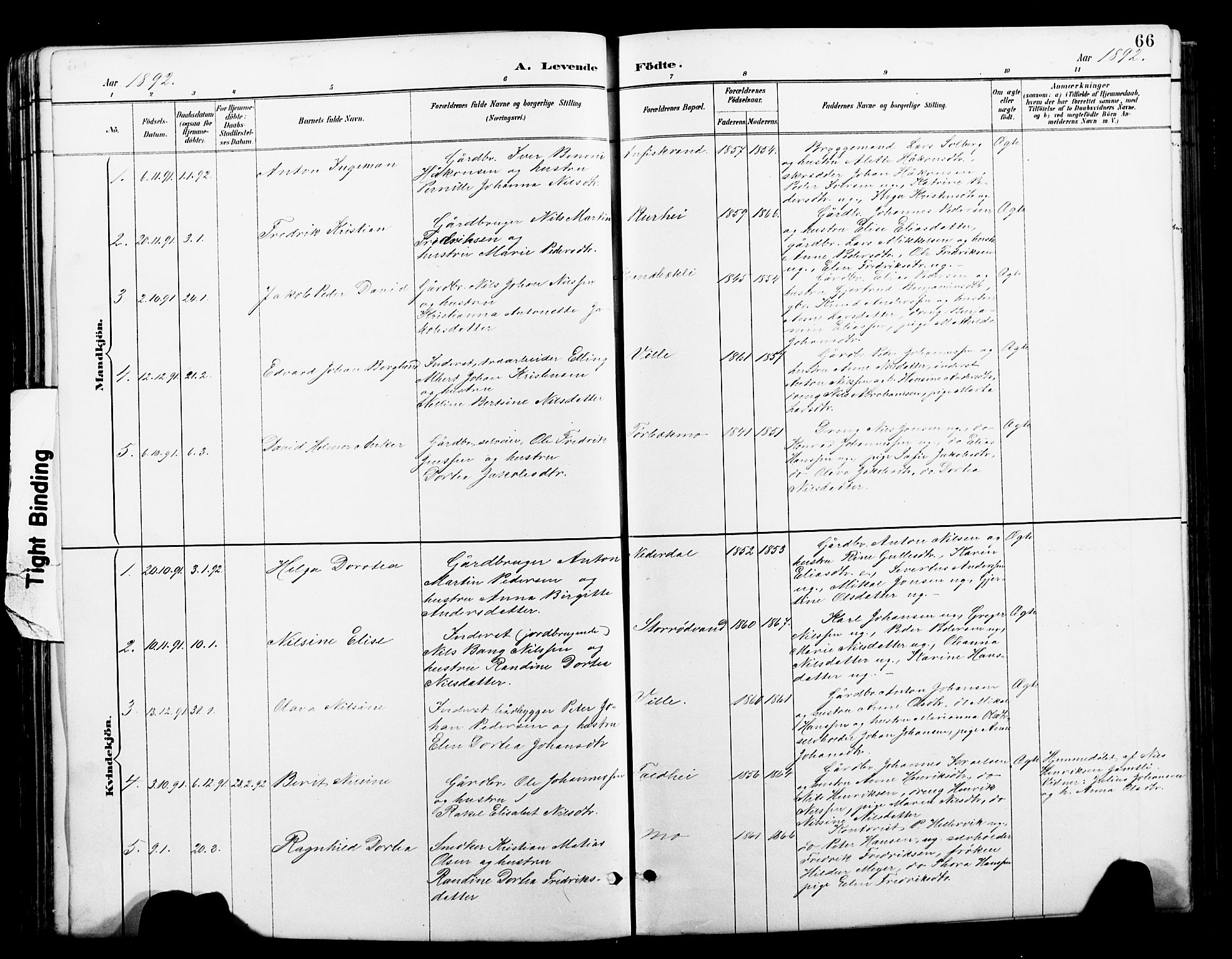 Ministerialprotokoller, klokkerbøker og fødselsregistre - Nordland, SAT/A-1459/827/L0421: Parish register (copy) no. 827C10, 1887-1906, p. 66