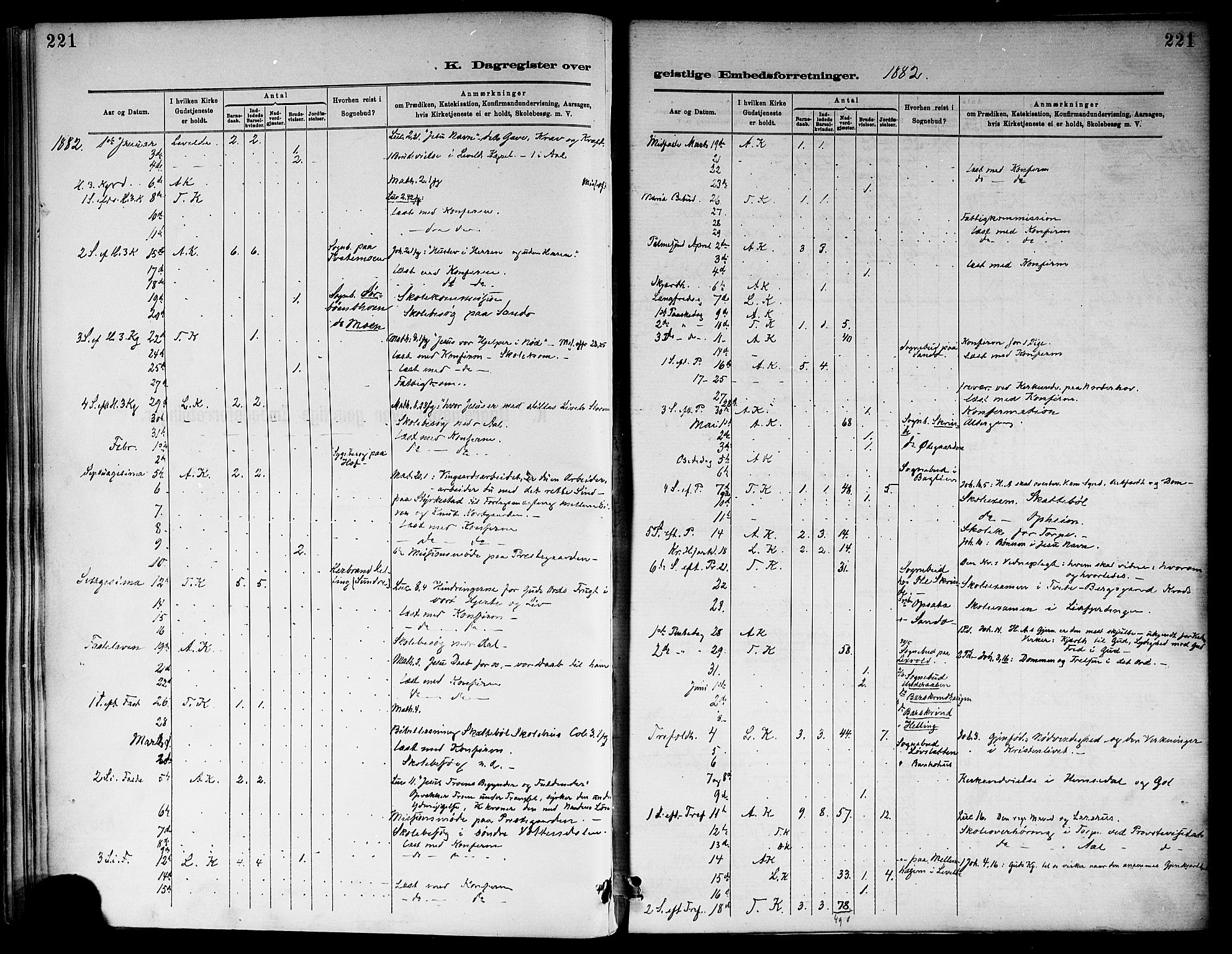 Ål kirkebøker, SAKO/A-249/F/Fa/L0008: Parish register (official) no. I 8, 1882-1896, p. 221
