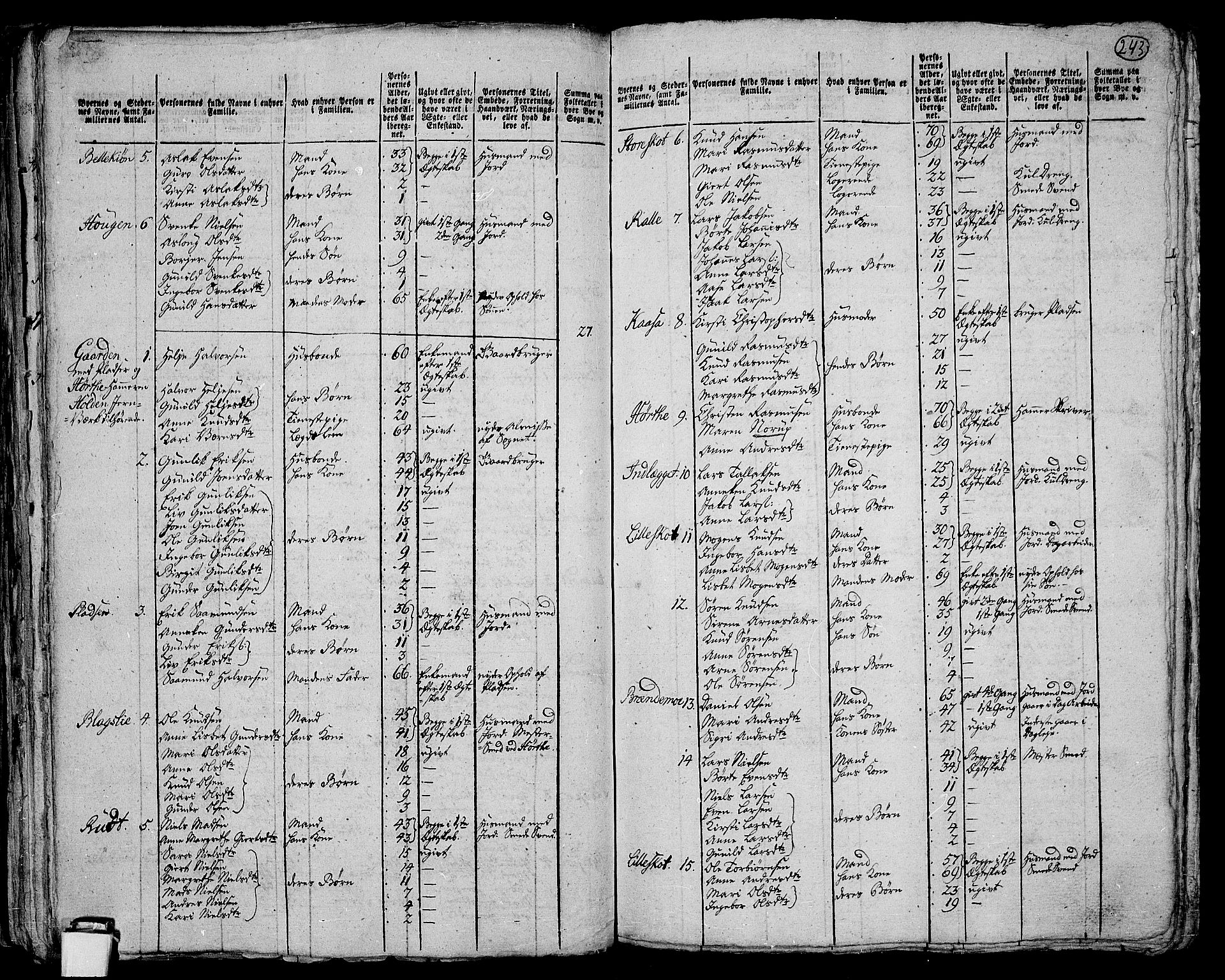 RA, 1801 census for 0821P Bø, 1801, p. 242b-243a