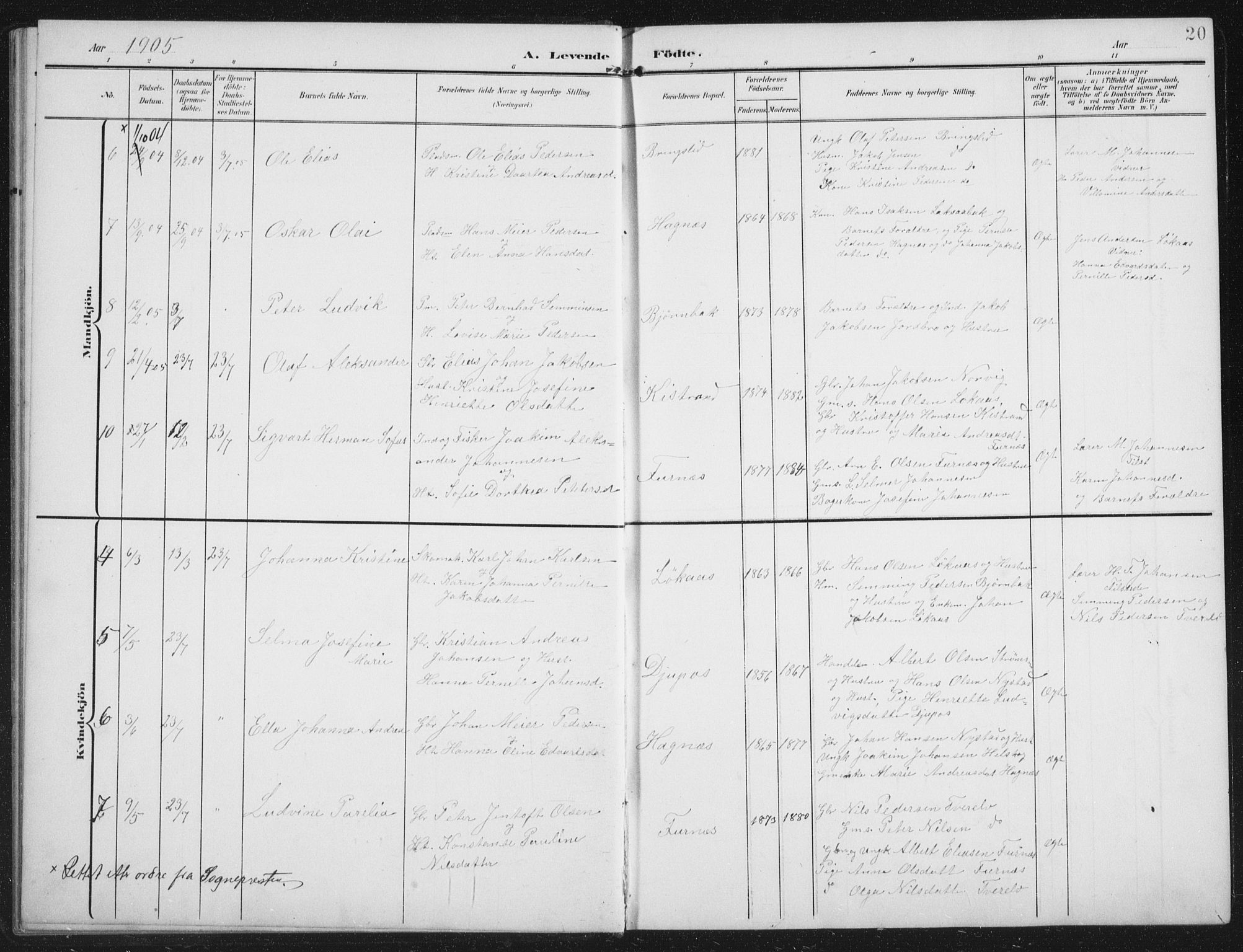 Ministerialprotokoller, klokkerbøker og fødselsregistre - Nordland, AV/SAT-A-1459/851/L0726: Parish register (copy) no. 851C01, 1902-1924, p. 20