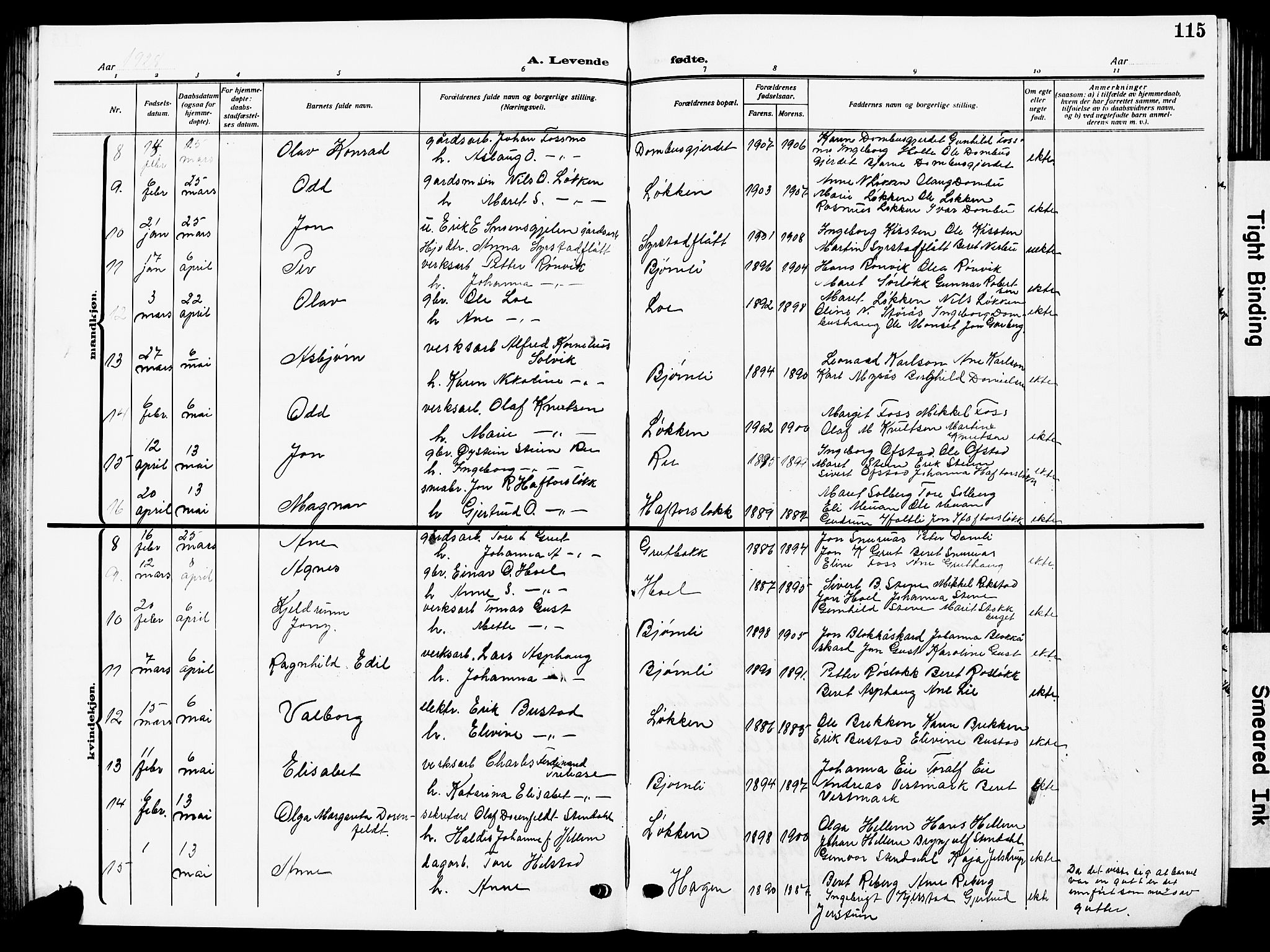 Ministerialprotokoller, klokkerbøker og fødselsregistre - Sør-Trøndelag, SAT/A-1456/672/L0865: Parish register (copy) no. 672C04, 1914-1928, p. 115