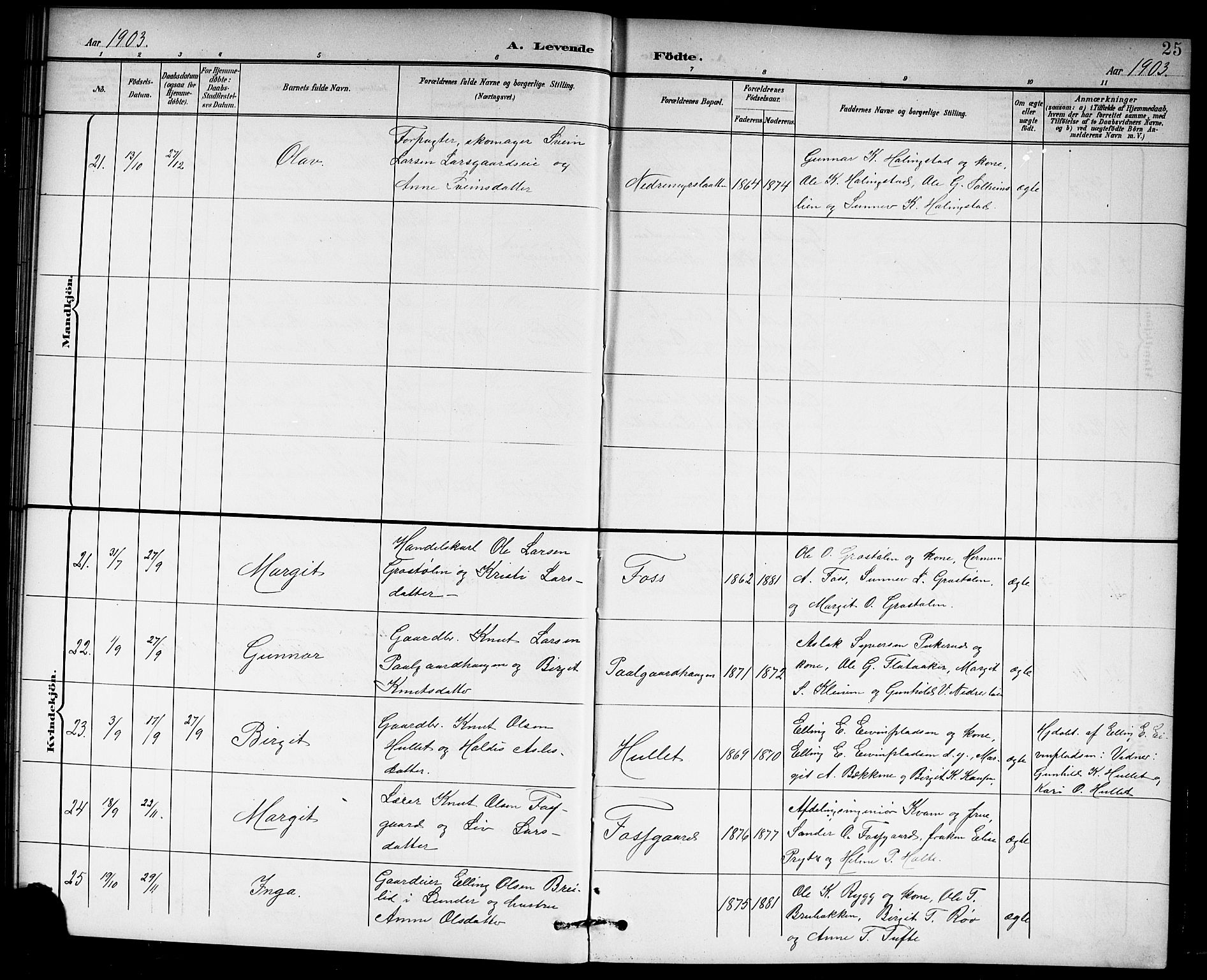 Hol kirkebøker, AV/SAKO-A-227/G/Ga/L0001: Parish register (copy) no. I 1, 1900-1919, p. 25