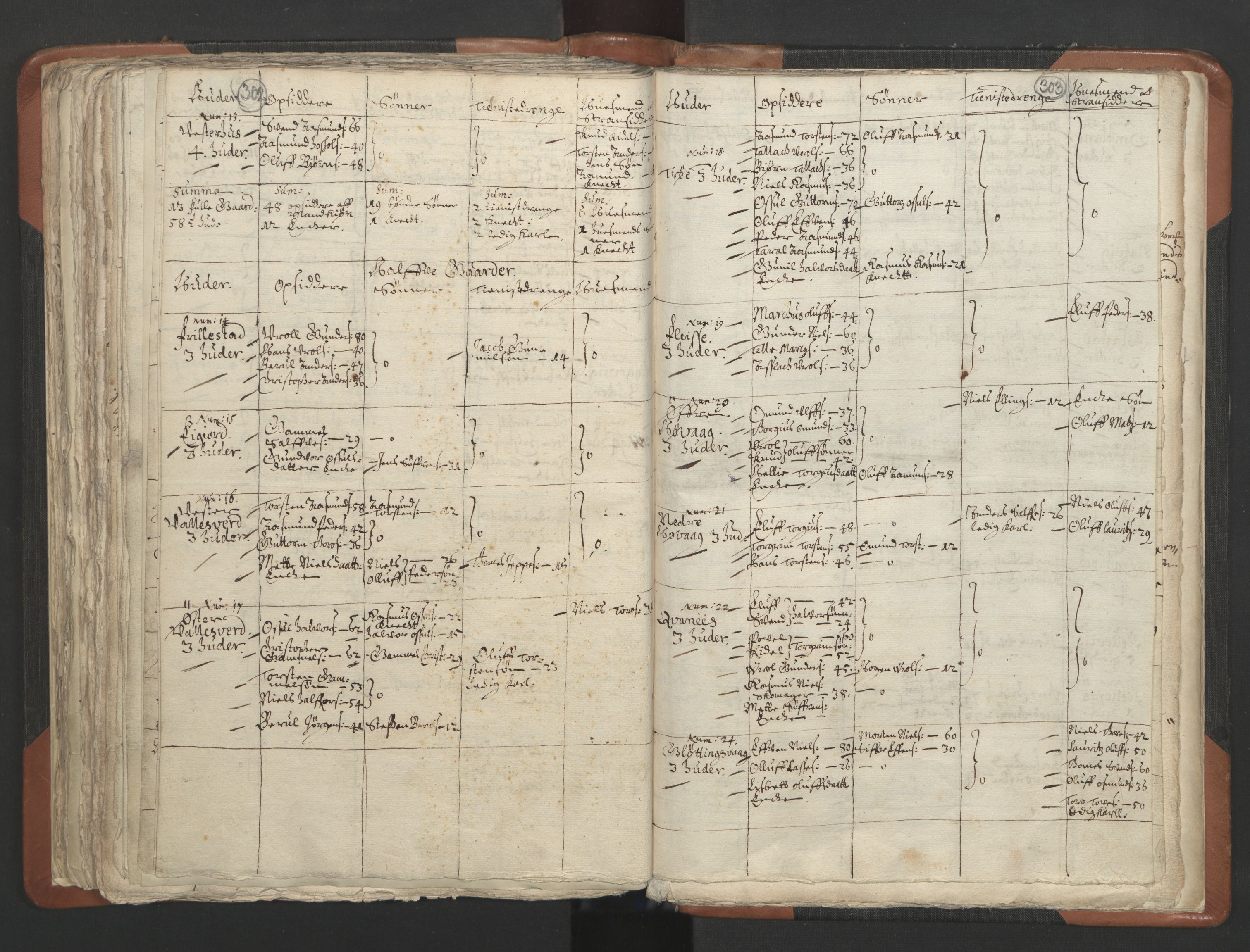 RA, Vicar's Census 1664-1666, no. 13: Nedenes deanery, 1664-1666, p. 302-303