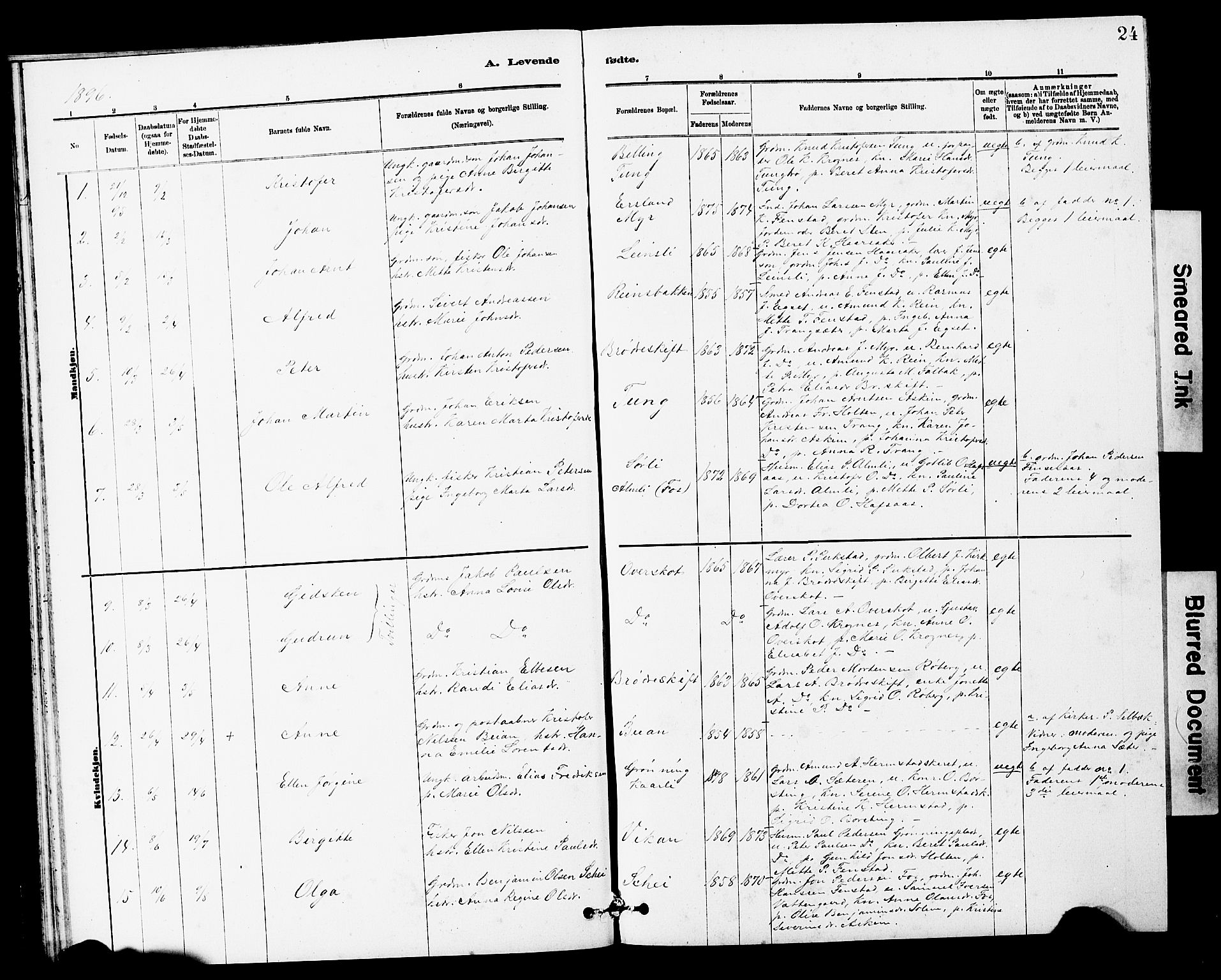 Ministerialprotokoller, klokkerbøker og fødselsregistre - Sør-Trøndelag, SAT/A-1456/646/L0628: Parish register (copy) no. 646C01, 1880-1903, p. 24