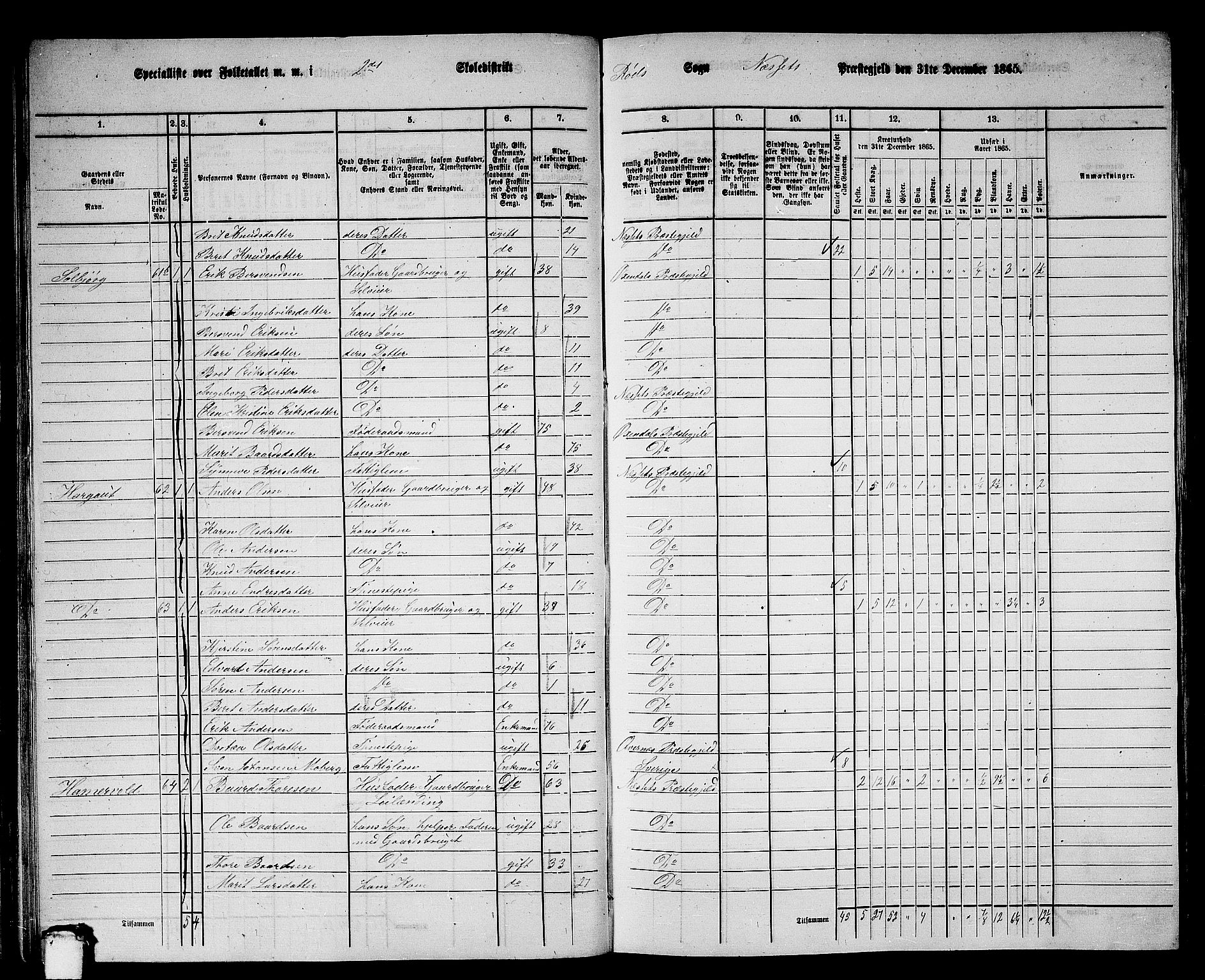 RA, 1865 census for Nesset, 1865, p. 48