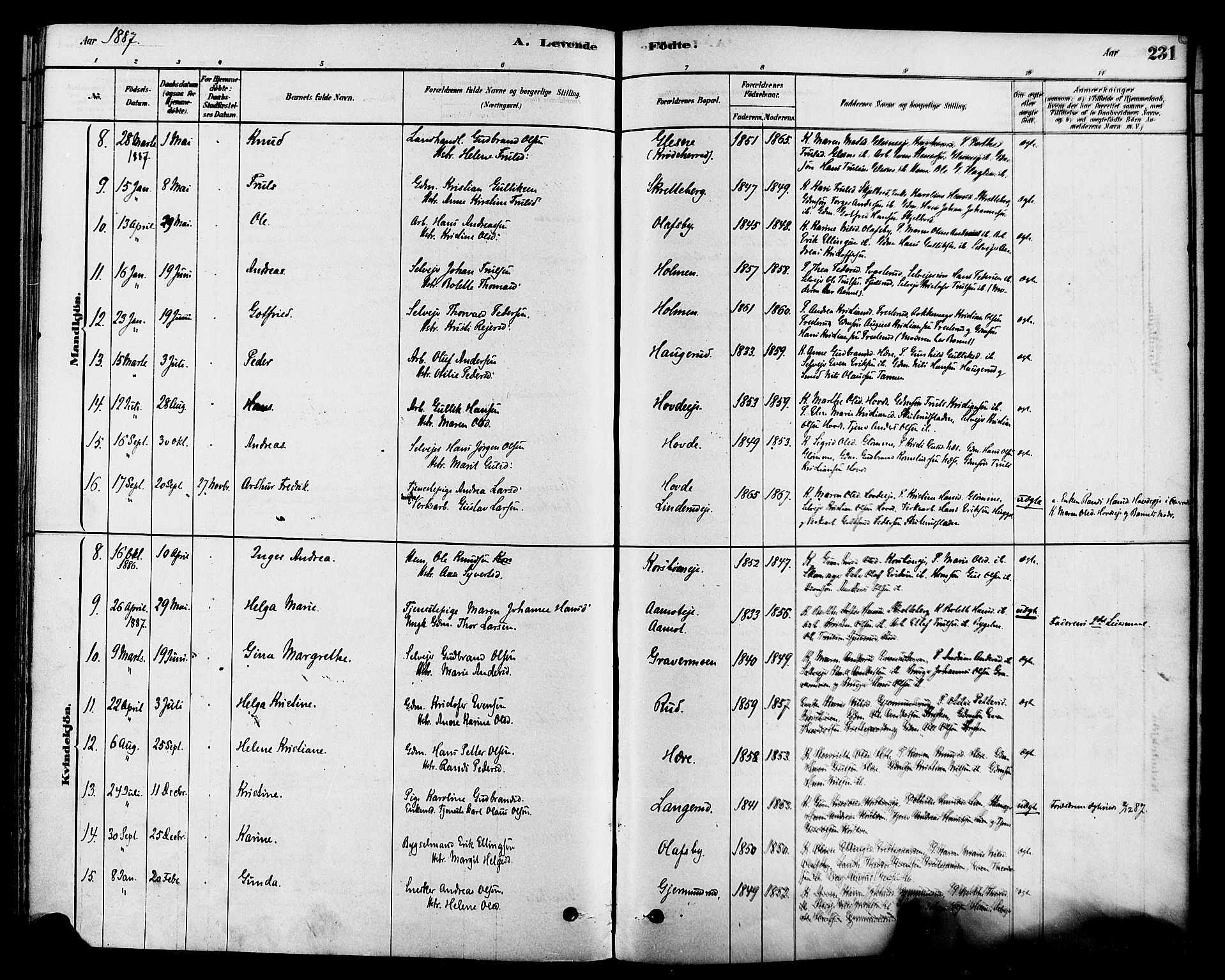 Modum kirkebøker, AV/SAKO-A-234/F/Fa/L0015: Parish register (official) no. 15 /2, 1877-1889, p. 231