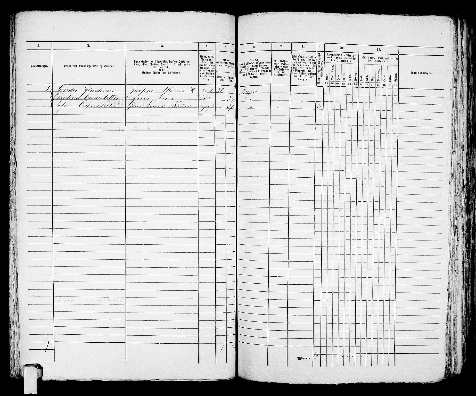 RA, 1865 census for Kragerø/Kragerø, 1865, p. 801