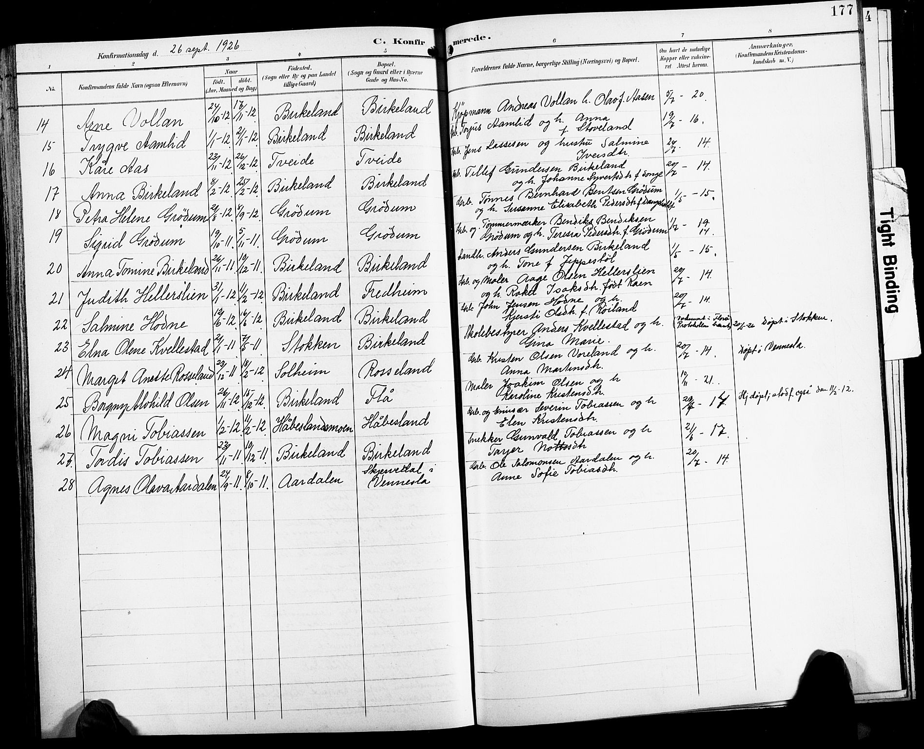 Birkenes sokneprestkontor, SAK/1111-0004/F/Fb/L0004: Parish register (copy) no. B 4, 1893-1930, p. 177
