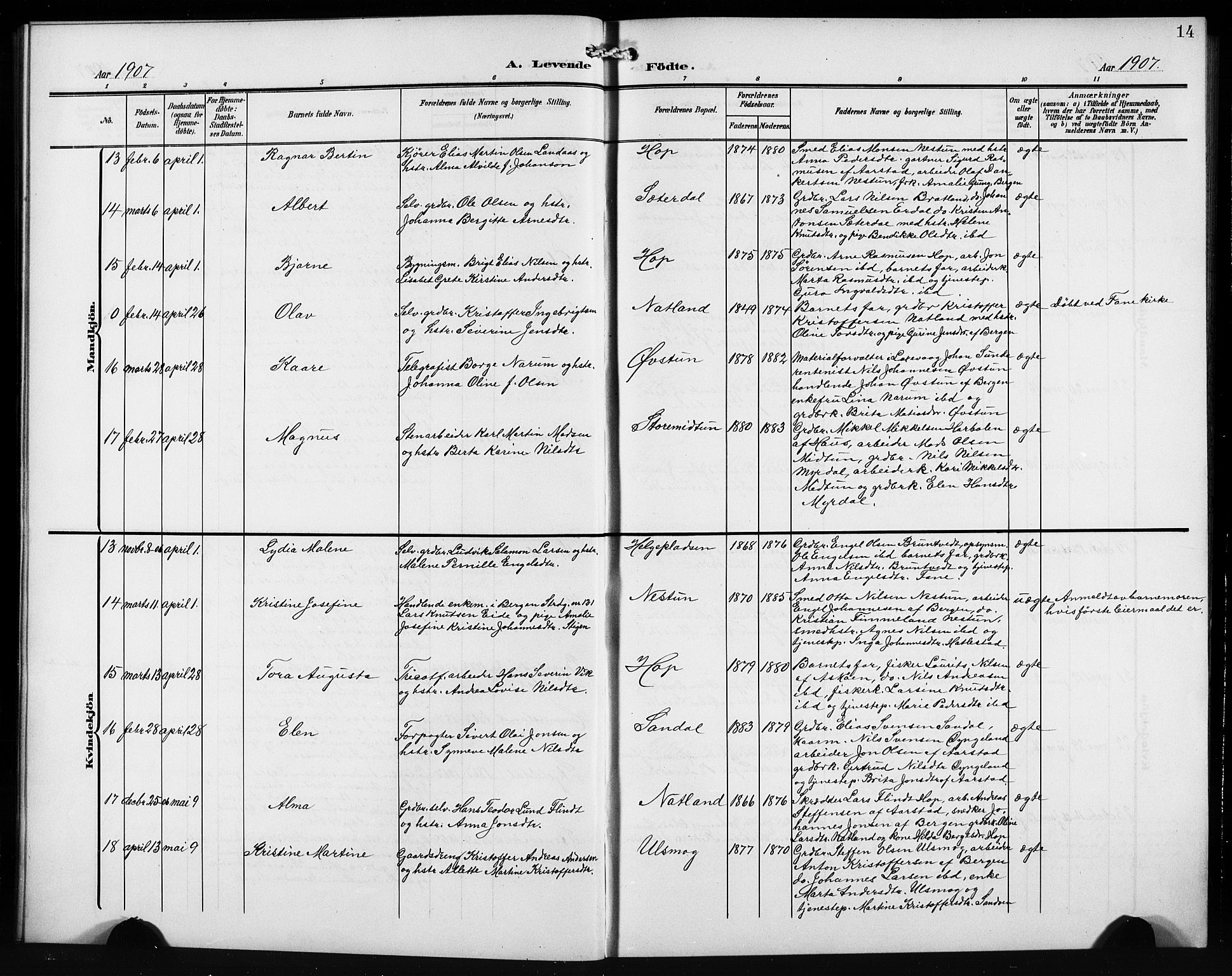 Birkeland Sokneprestembete, AV/SAB-A-74601/H/Hab: Parish register (copy) no. A 6, 1906-1915, p. 14