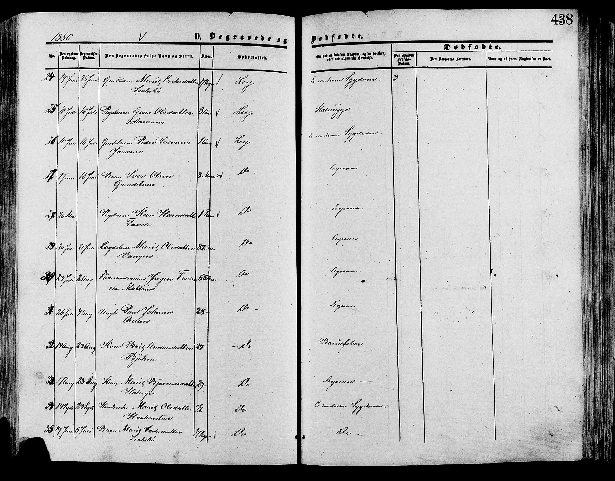 Lesja prestekontor, SAH/PREST-068/H/Ha/Haa/L0008: Parish register (official) no. 8, 1854-1880, p. 438