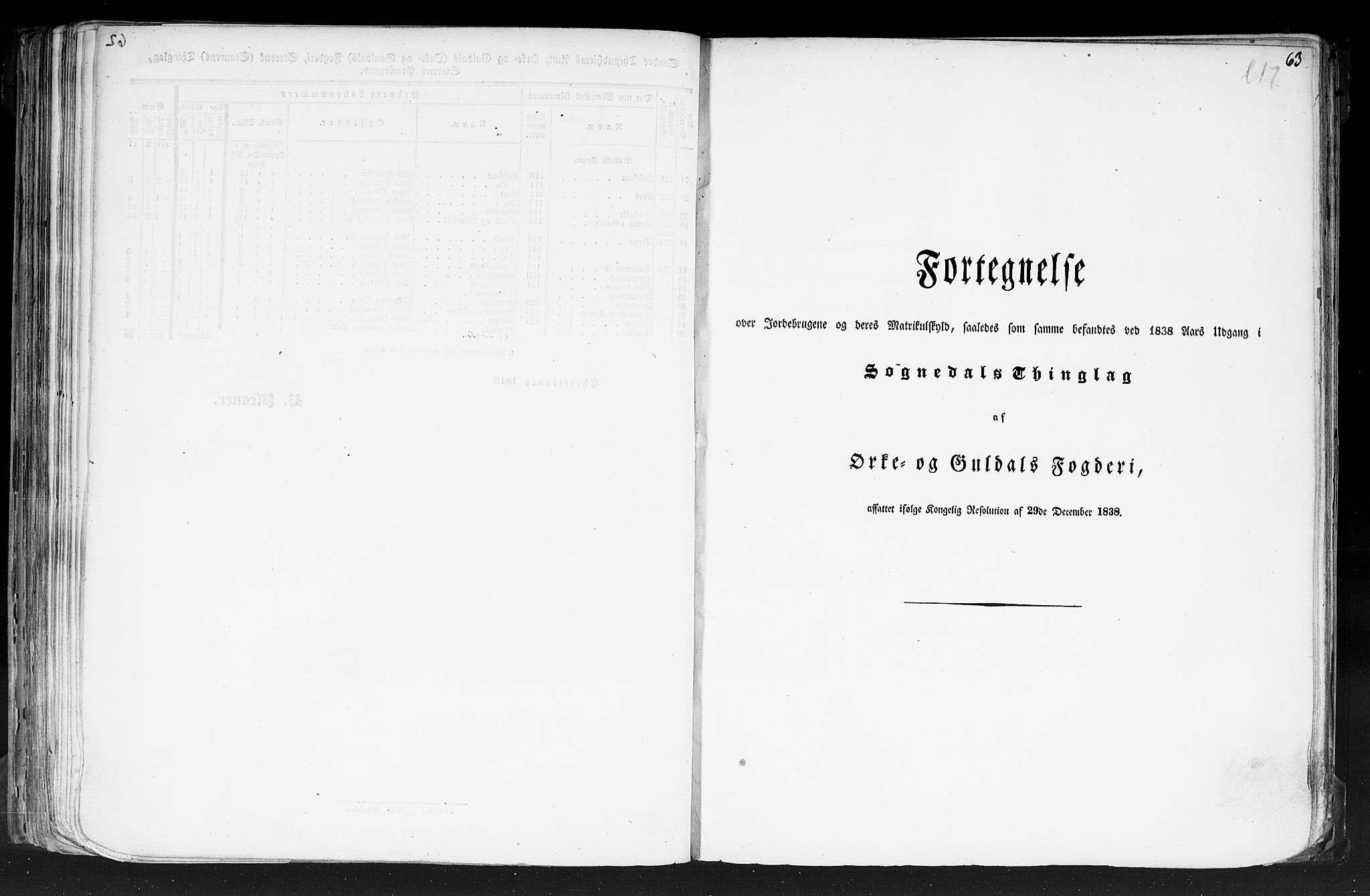 Rygh, RA/PA-0034/F/Fb/L0014: Matrikkelen for 1838 - Søndre Trondhjems amt (Sør-Trøndelag fylke), 1838, p. 63a