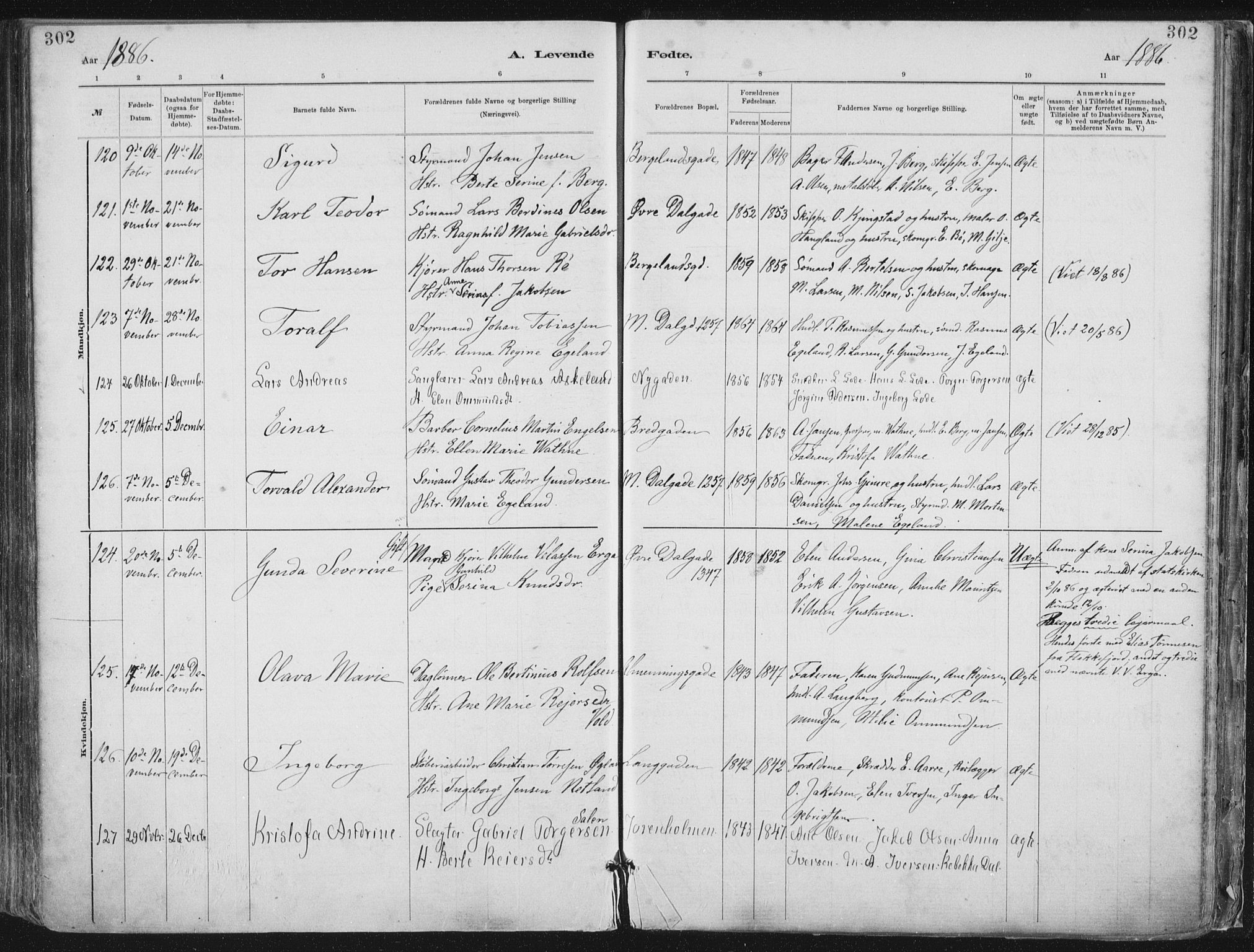 St. Petri sokneprestkontor, AV/SAST-A-101813/001/30/30BA/L0015: Parish register (official) no. A 15, 1879-1888, p. 302