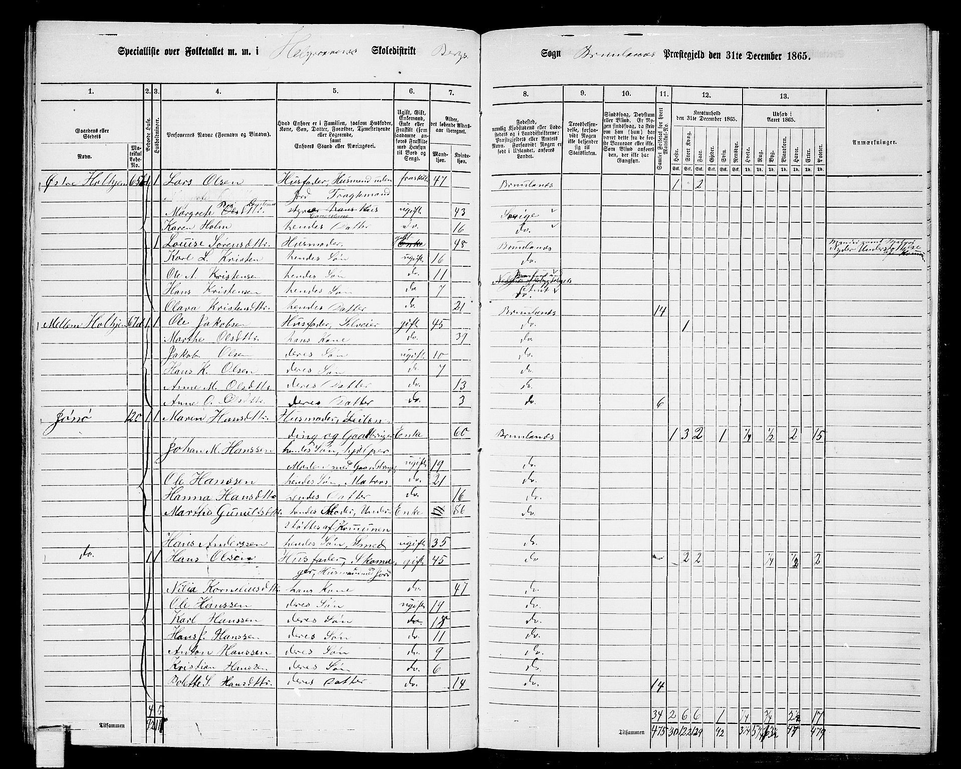 RA, 1865 census for Brunlanes, 1865, p. 178