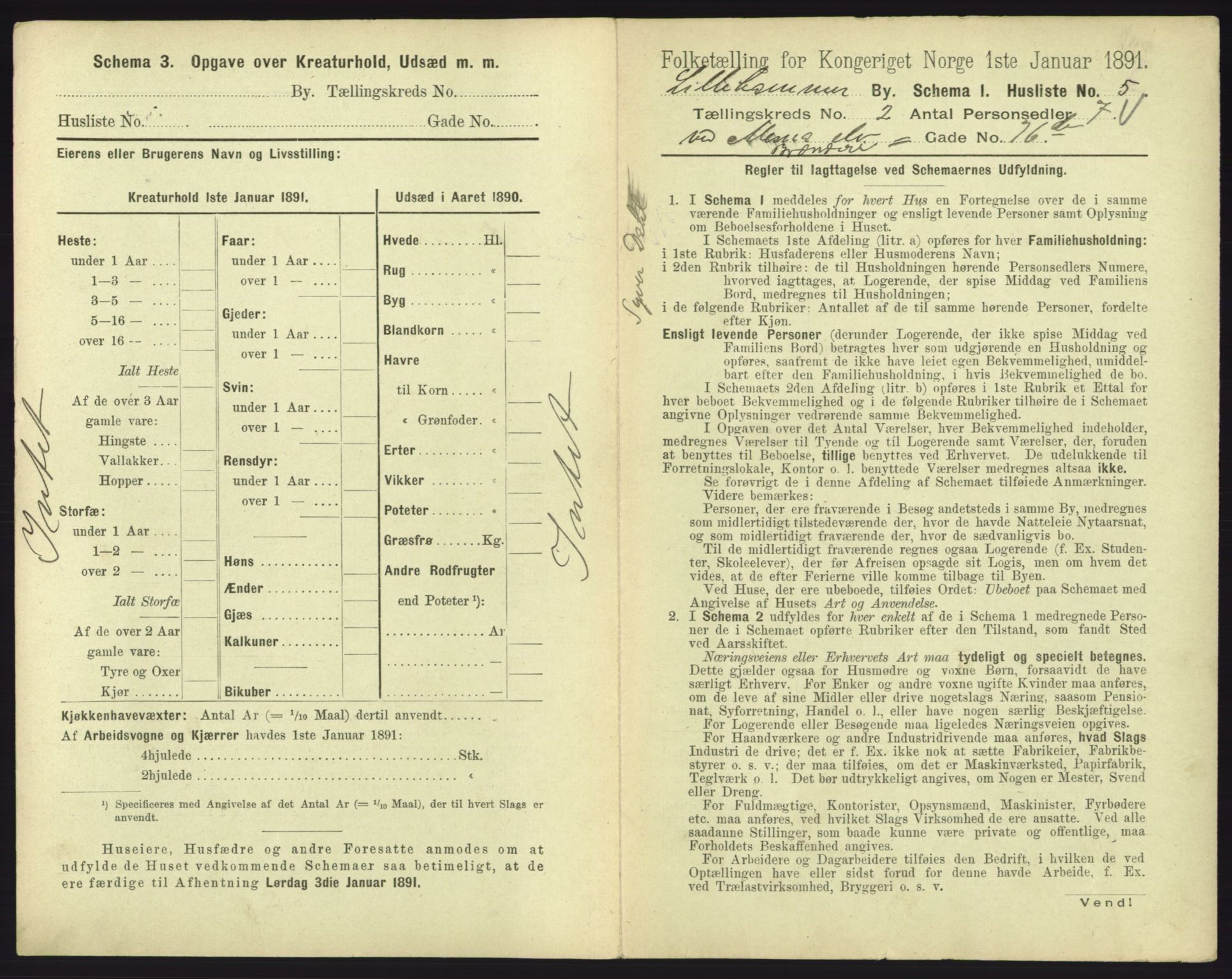 RA, 1891 census for 0501 Lillehammer, 1891, p. 219