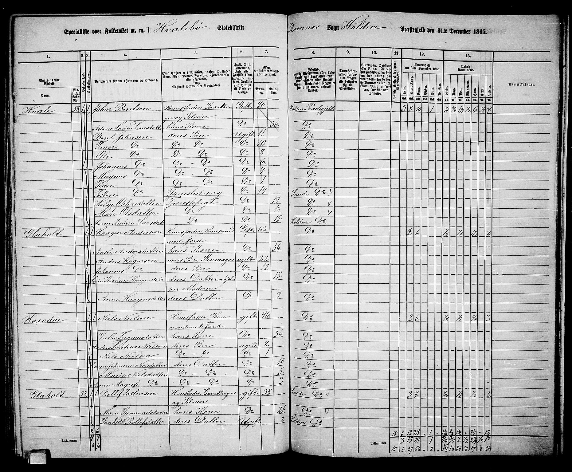 RA, 1865 census for Holla, 1865, p. 121