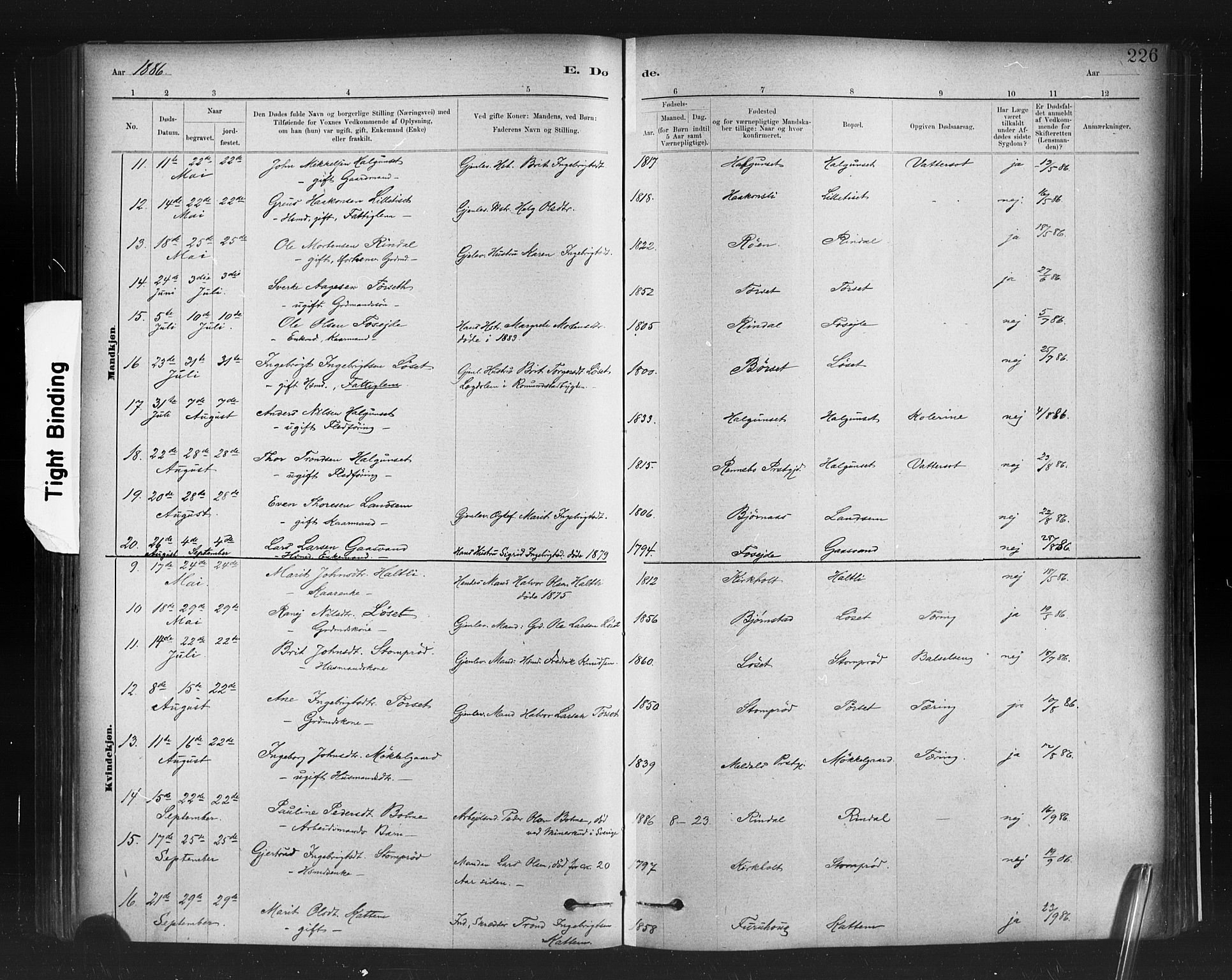 Ministerialprotokoller, klokkerbøker og fødselsregistre - Møre og Romsdal, AV/SAT-A-1454/598/L1069: Parish register (official) no. 598A03, 1882-1895, p. 226