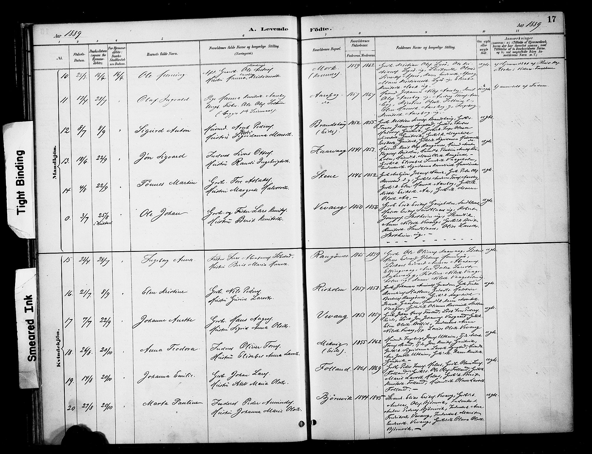 Ministerialprotokoller, klokkerbøker og fødselsregistre - Møre og Romsdal, AV/SAT-A-1454/570/L0832: Parish register (official) no. 570A06, 1885-1900, p. 17