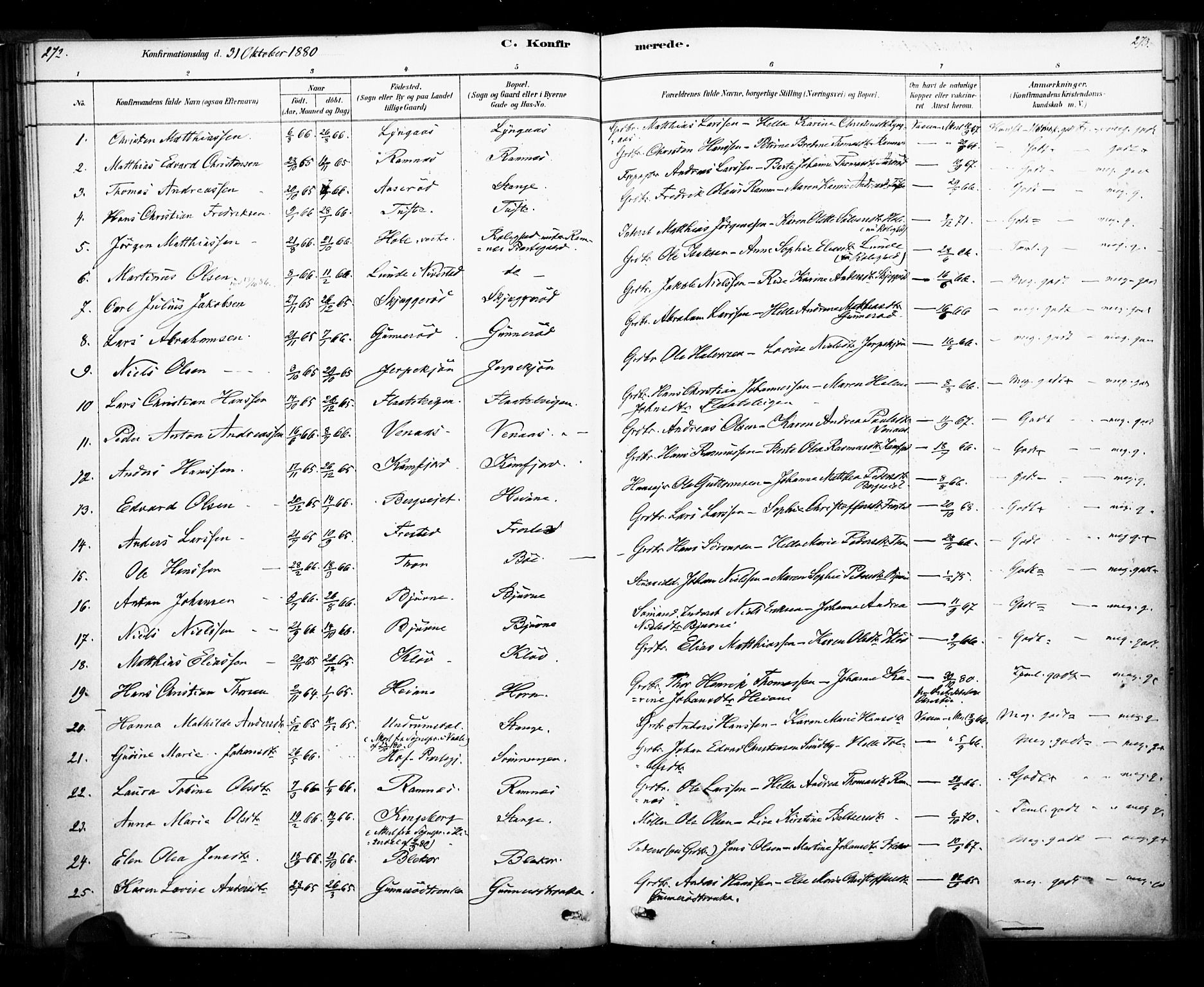 Ramnes kirkebøker, AV/SAKO-A-314/F/Fa/L0007: Parish register (official) no. I 7, 1878-1895, p. 272-273