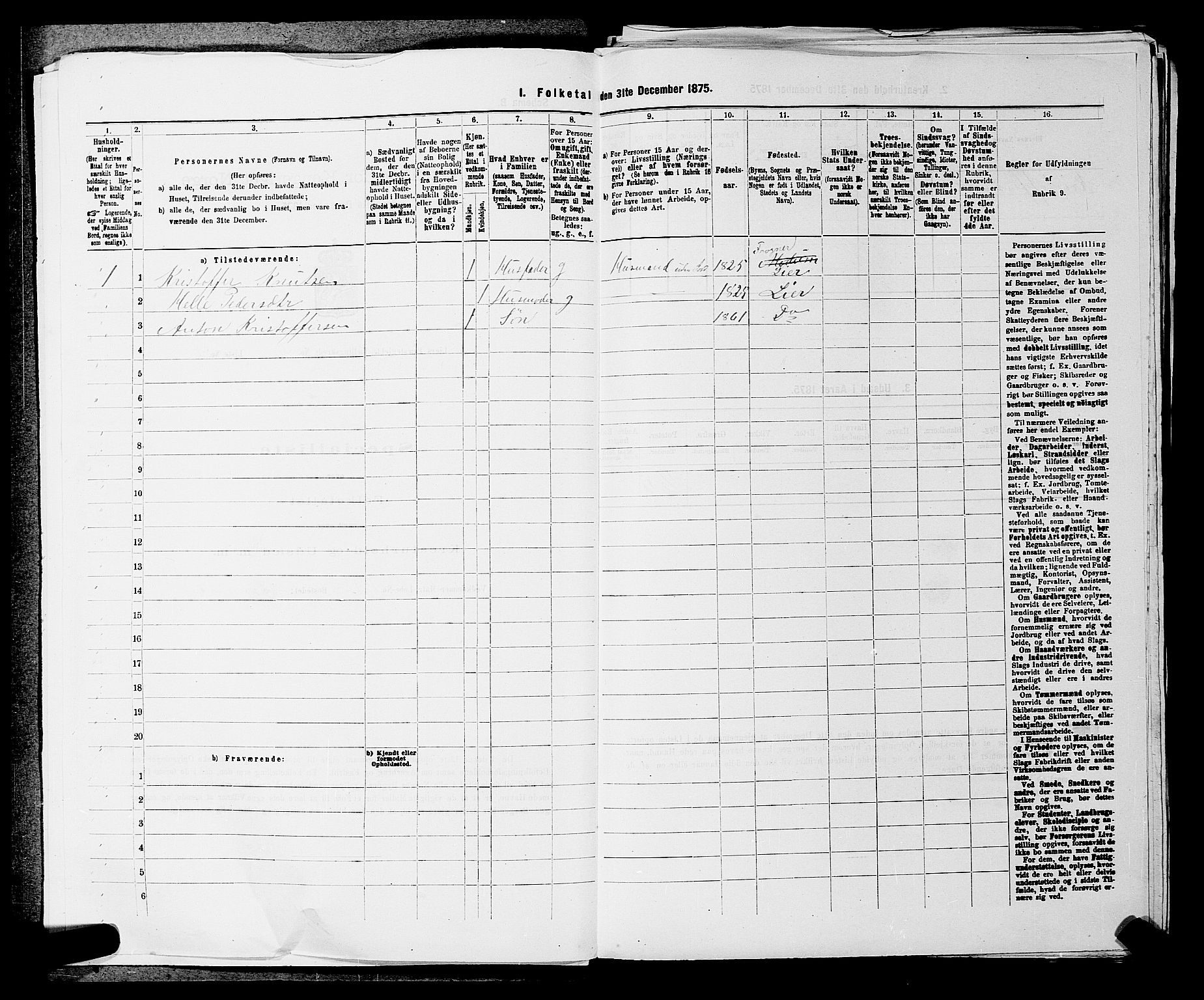 SAKO, 1875 census for 0626P Lier, 1875, p. 950