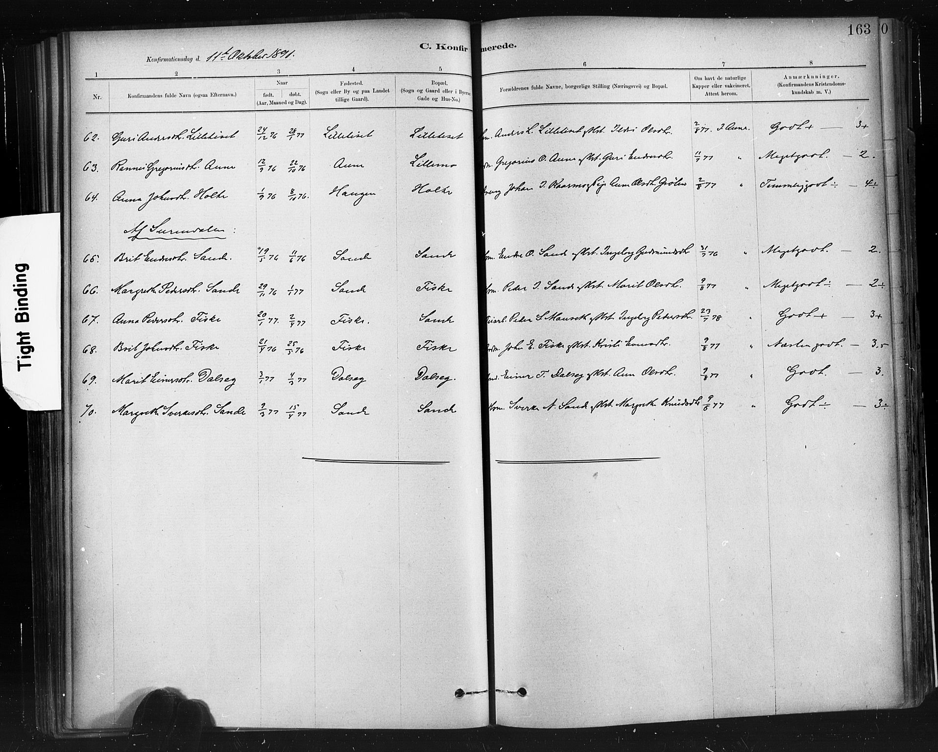 Ministerialprotokoller, klokkerbøker og fødselsregistre - Møre og Romsdal, AV/SAT-A-1454/598/L1069: Parish register (official) no. 598A03, 1882-1895, p. 163