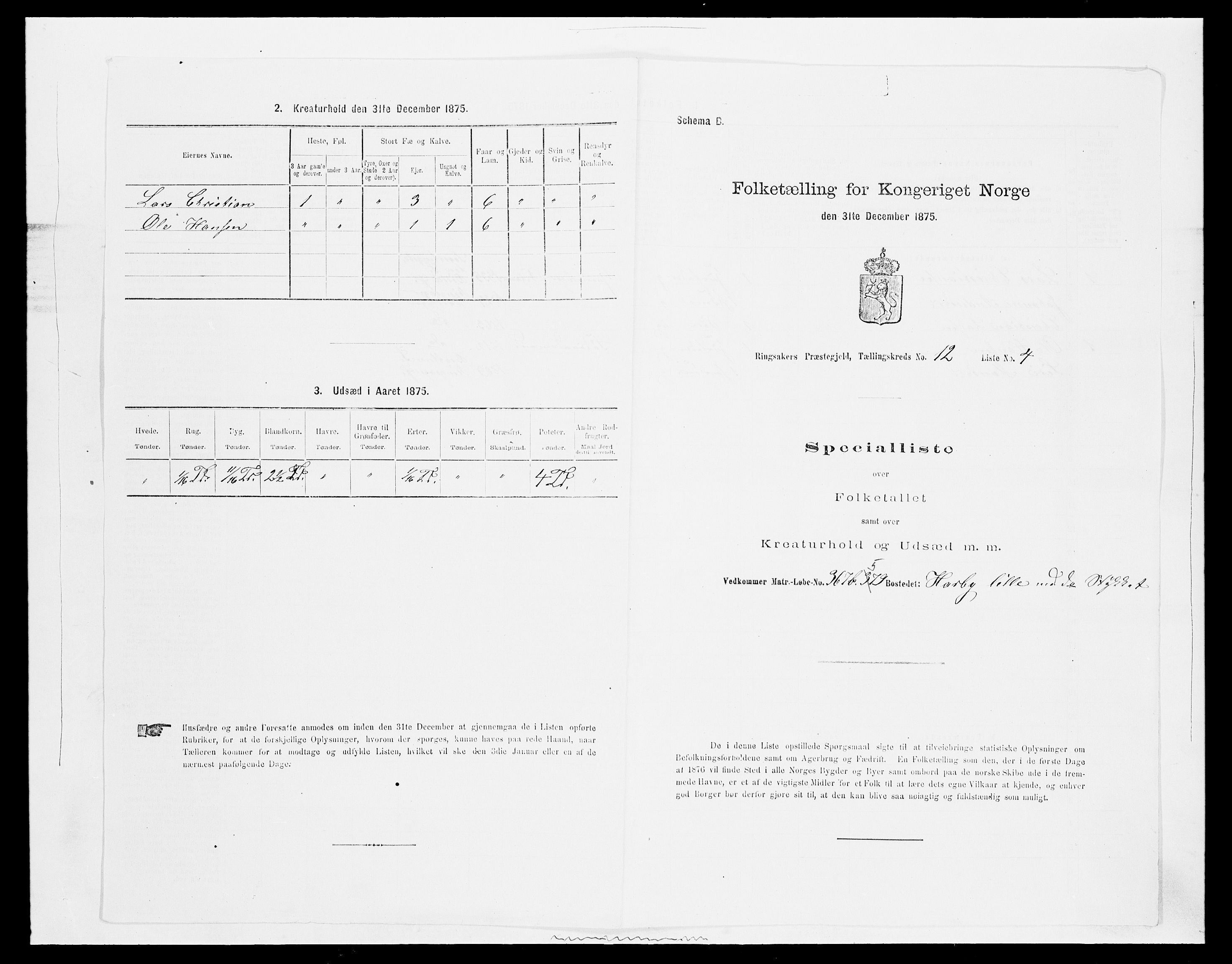 SAH, 1875 census for 0412P Ringsaker, 1875, p. 2417