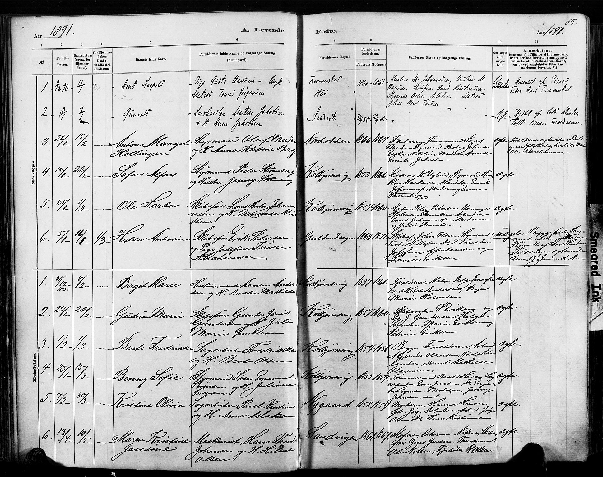 Hisøy sokneprestkontor, SAK/1111-0020/F/Fa/L0003: Parish register (official) no. A 3, 1881-1894, p. 85