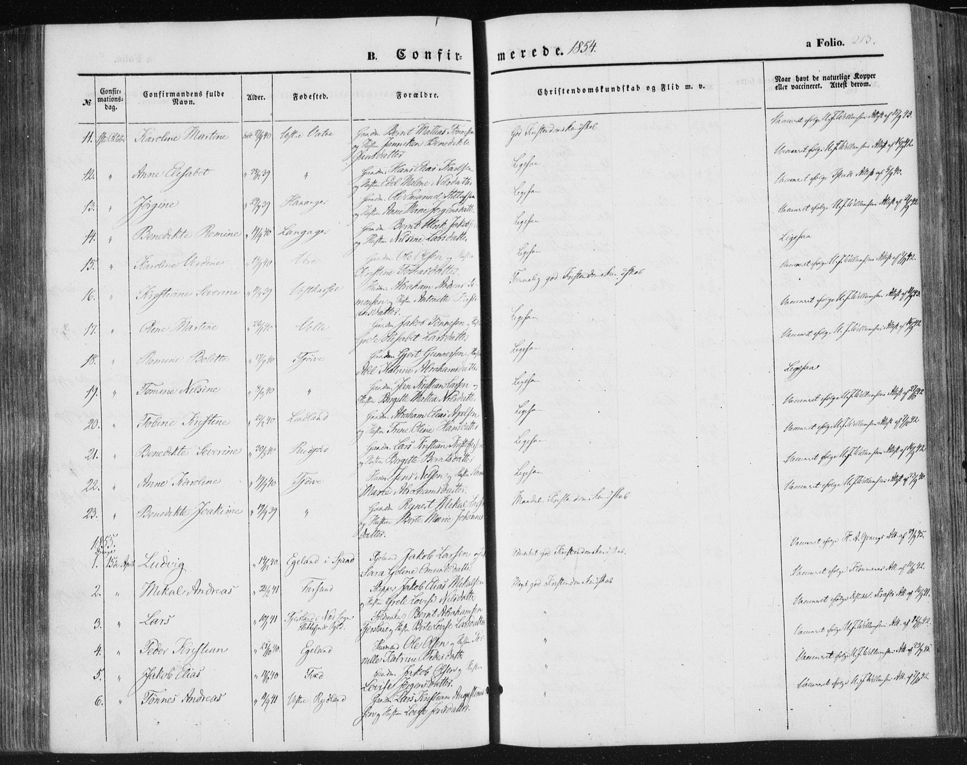 Lista sokneprestkontor, SAK/1111-0027/F/Fa/L0010: Parish register (official) no. A 10, 1846-1861, p. 213