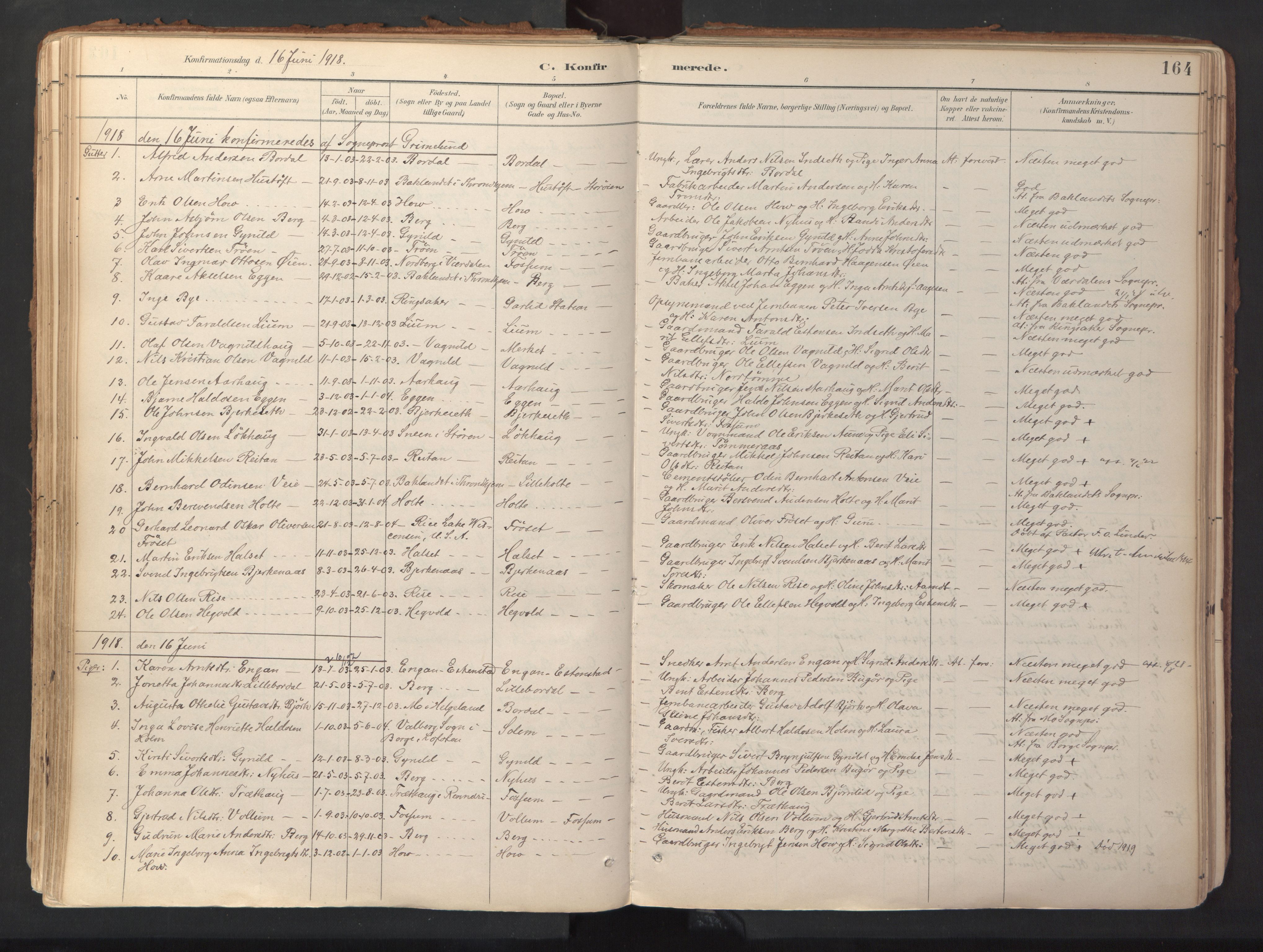 Ministerialprotokoller, klokkerbøker og fødselsregistre - Sør-Trøndelag, SAT/A-1456/689/L1041: Parish register (official) no. 689A06, 1891-1923, p. 164
