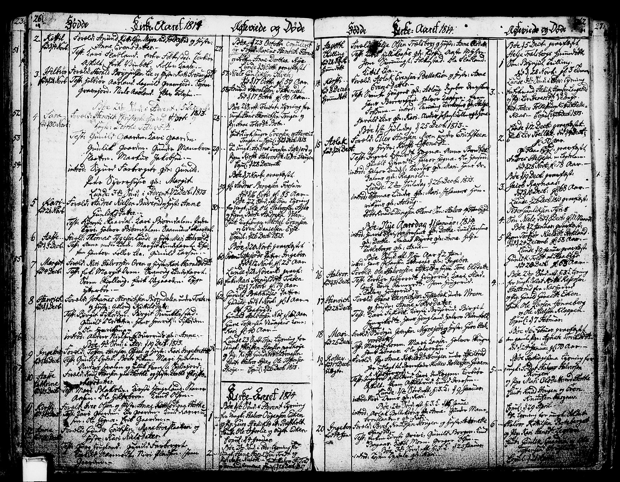 Bø kirkebøker, SAKO/A-257/F/Fa/L0005: Parish register (official) no. 5, 1785-1815, p. 261-262