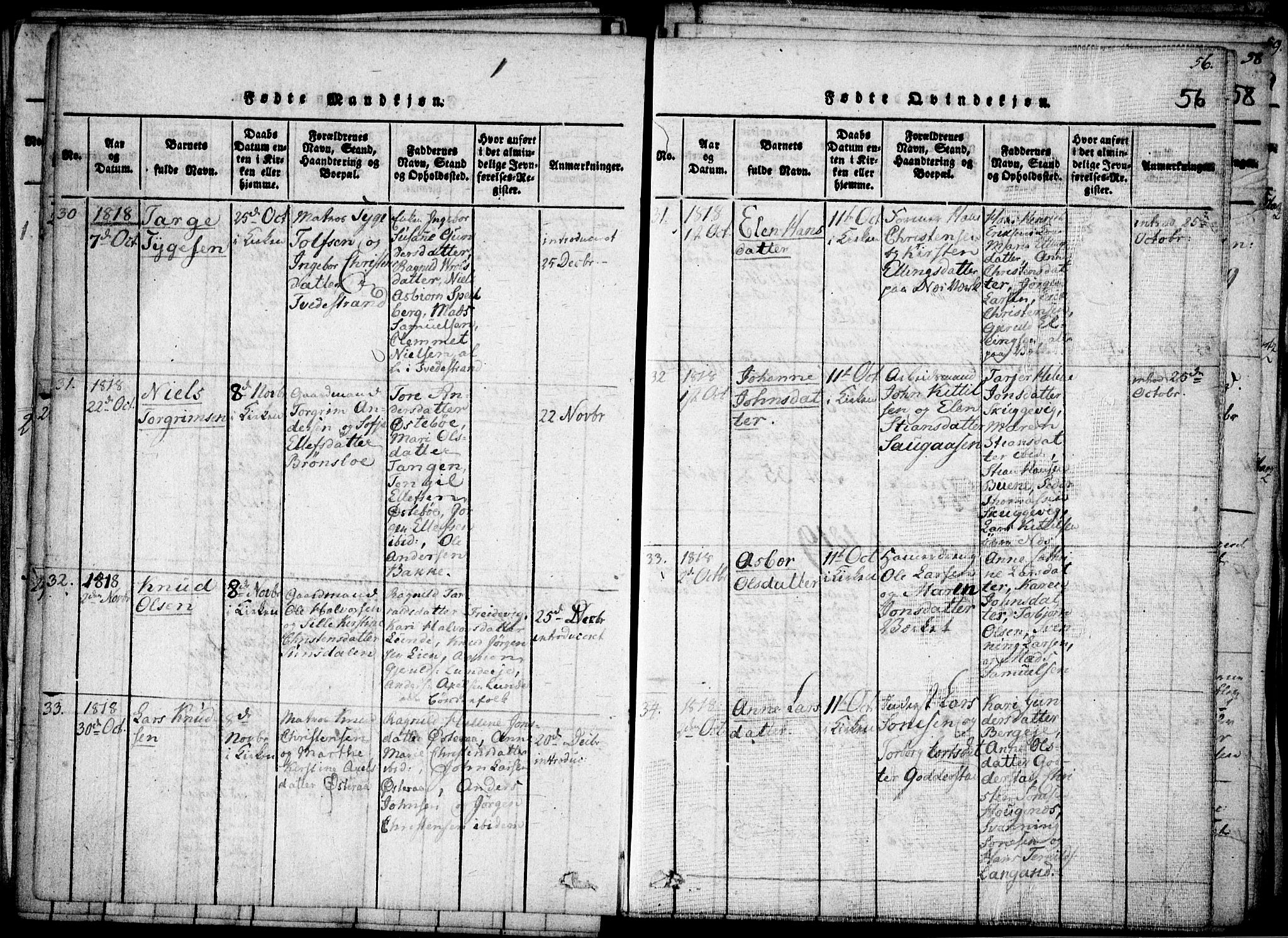 Holt sokneprestkontor, AV/SAK-1111-0021/F/Fa/L0005: Parish register (official) no. A 5, 1813-1821, p. 56