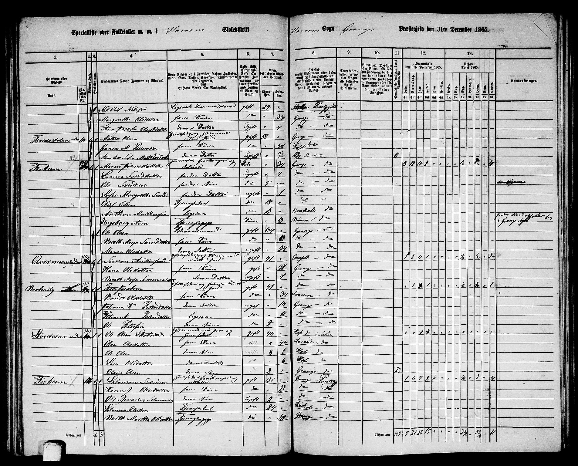 RA, 1865 census for Grong, 1865, p. 113