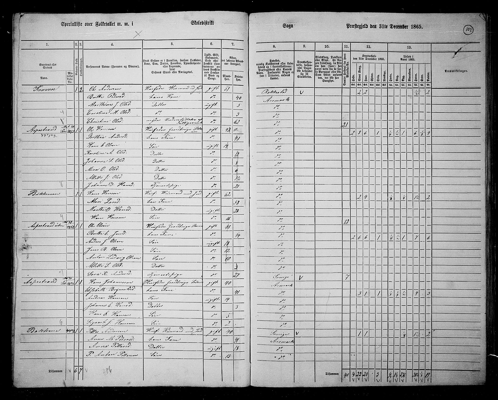 RA, 1865 census for Aremark, 1865, p. 94