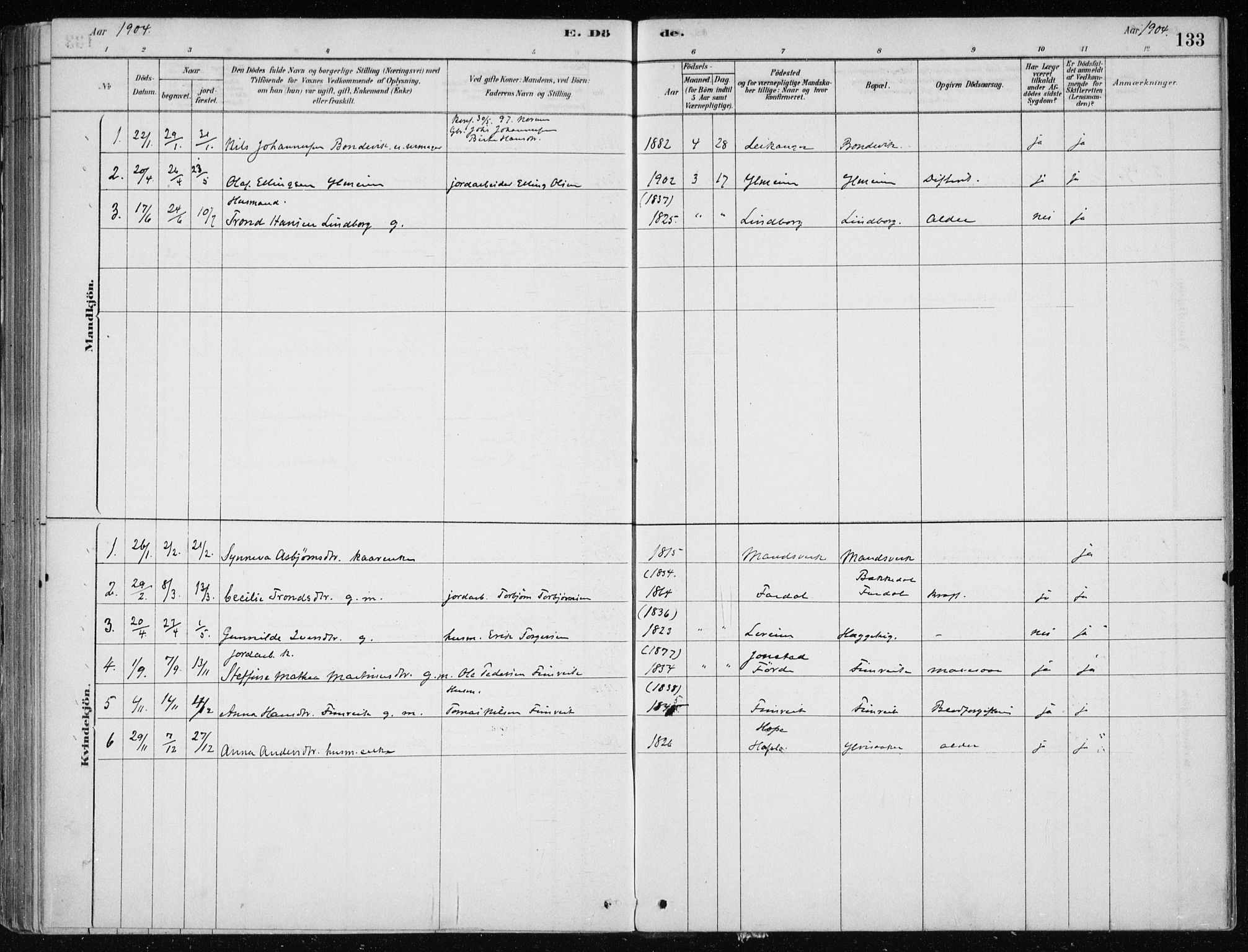 Sogndal sokneprestembete, SAB/A-81301/H/Haa/Haac/L0001: Parish register (official) no. C 1, 1878-1907, p. 133